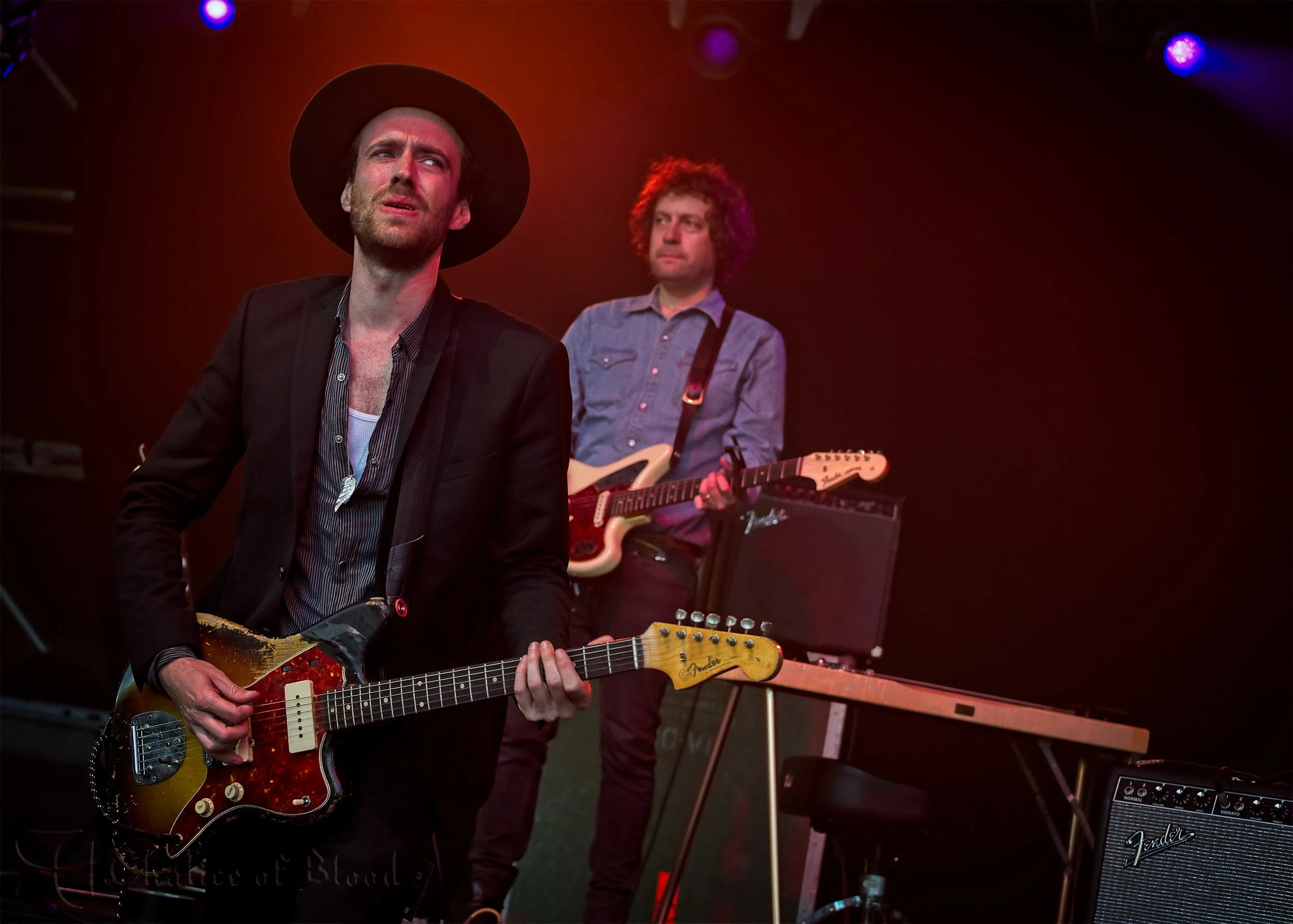 The Veils - 52.jpg