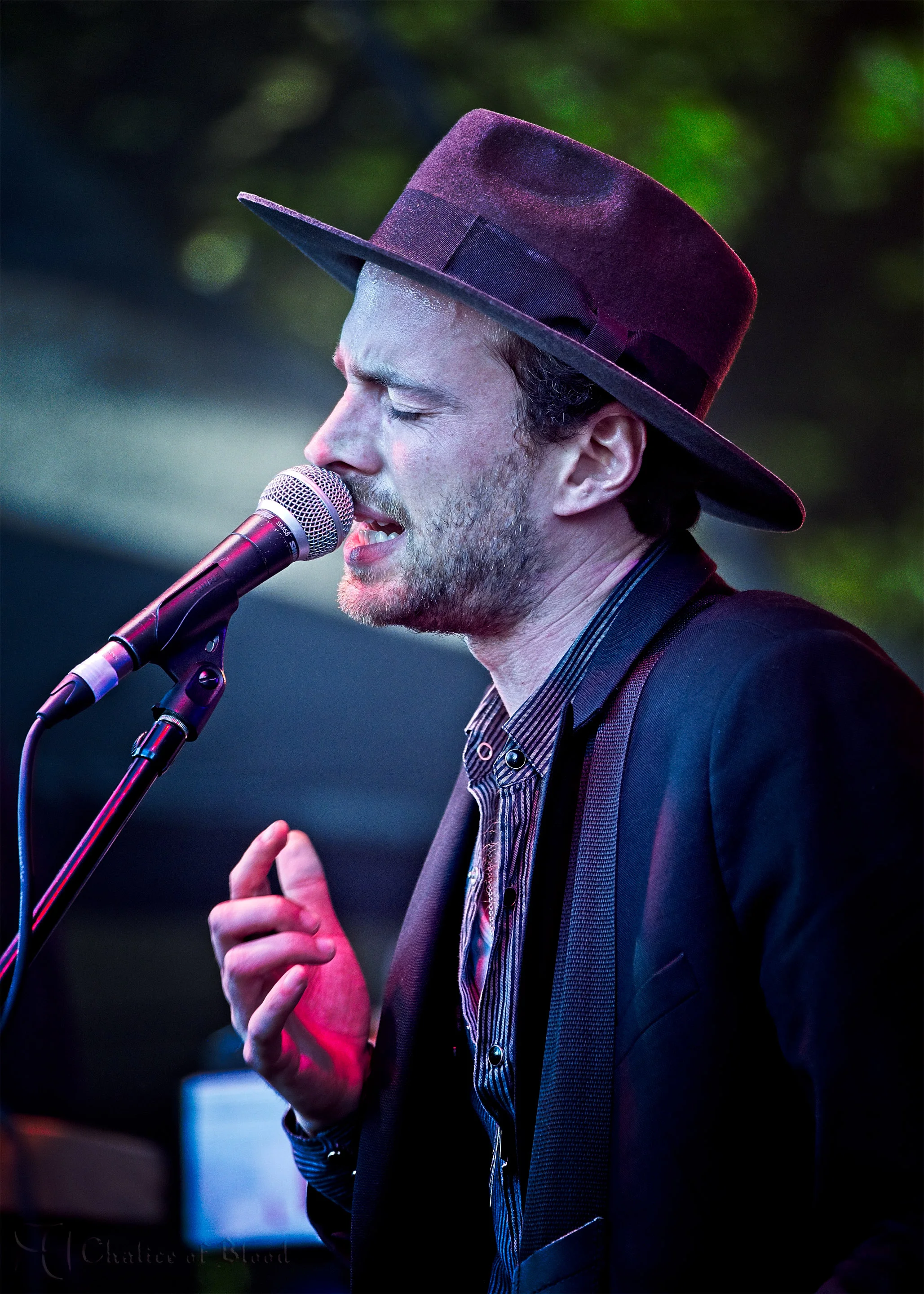 The Veils - 57.jpg