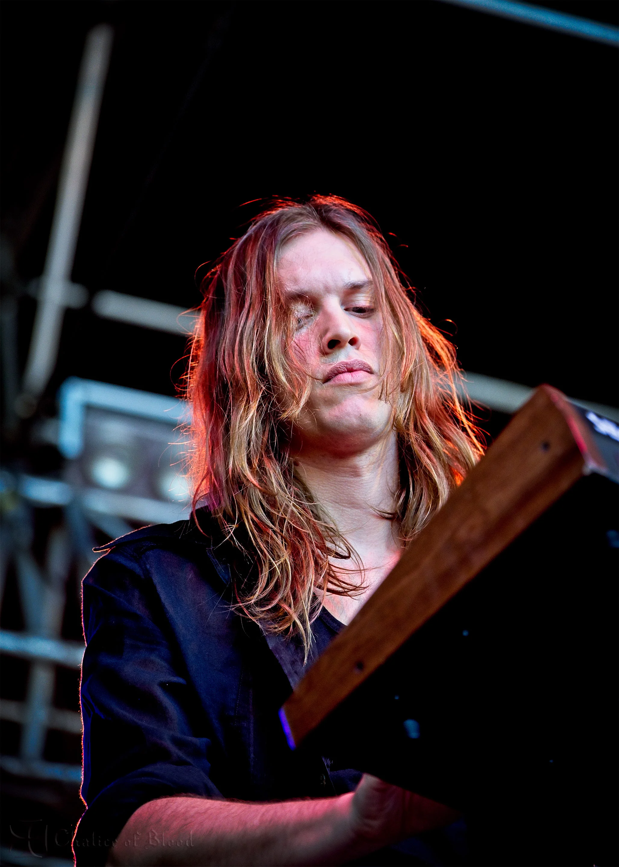 The Veils - 81.jpg