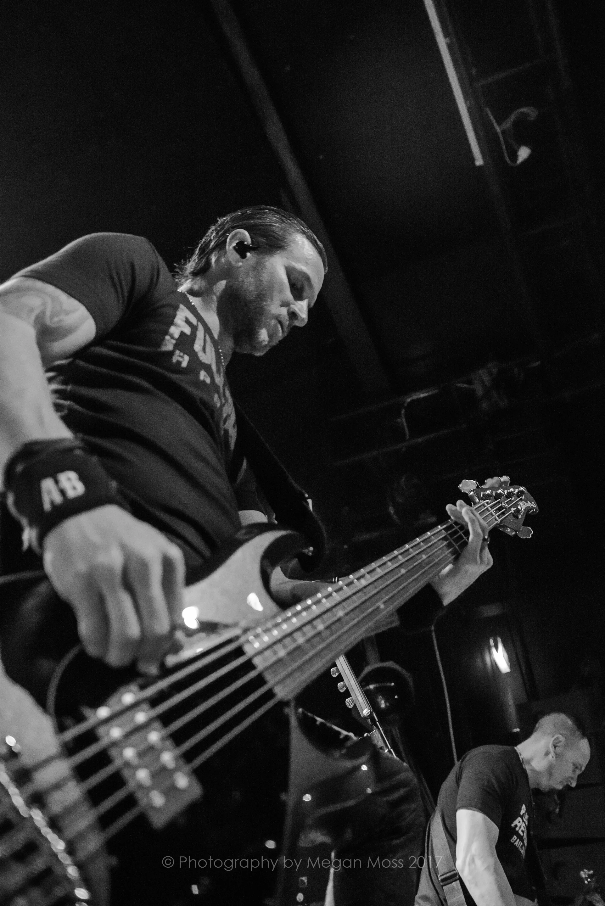 Alter Bridge NZ 2017-9516.jpg