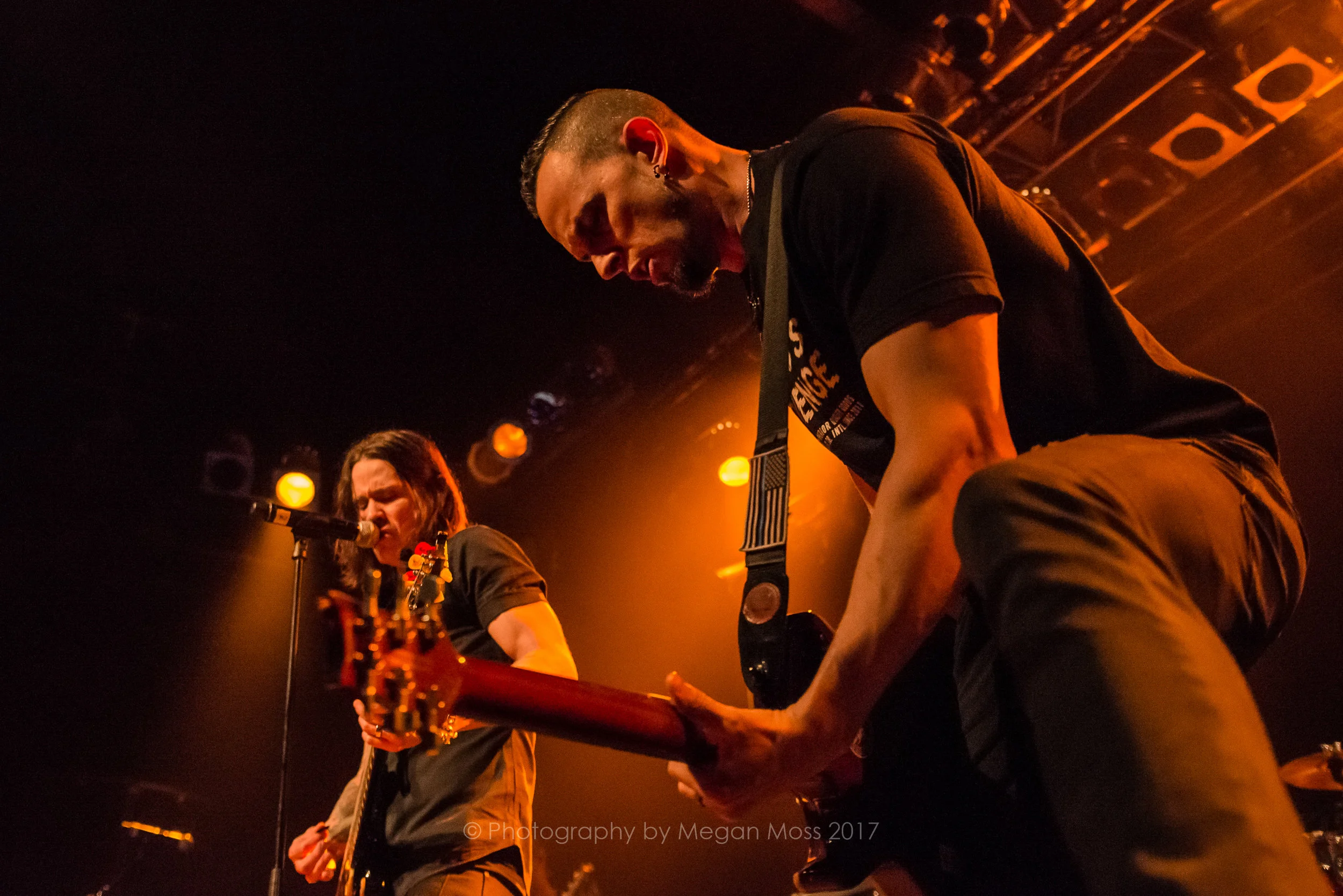 Alter Bridge NZ 2017-9478.jpg