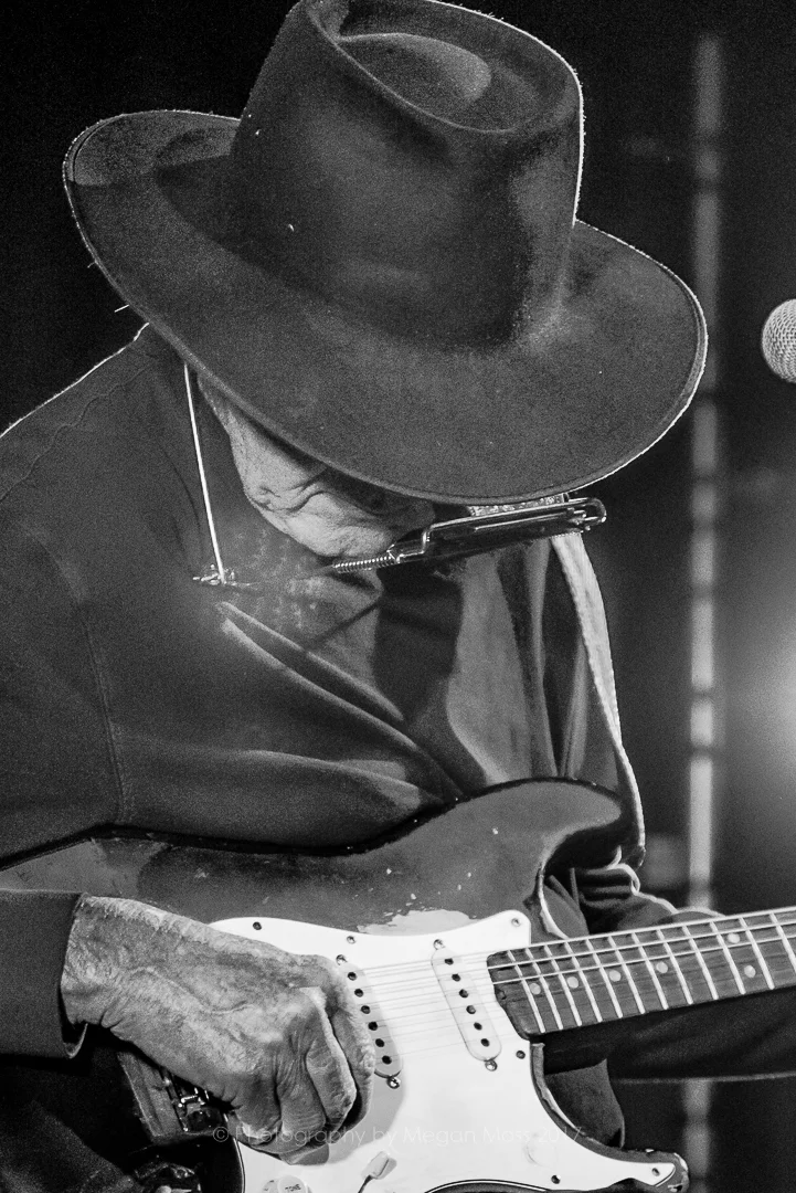 Tony Joe White AKL APR17-0139.jpg