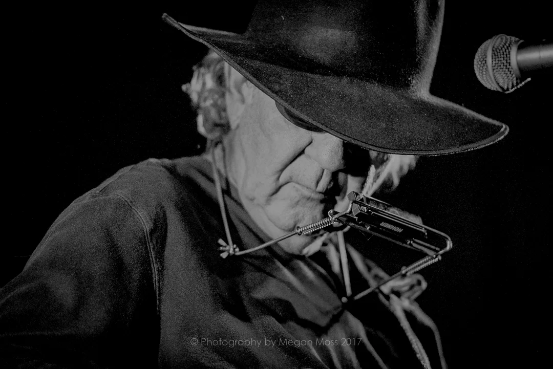 Tony Joe White AKL APR17-0176.jpg