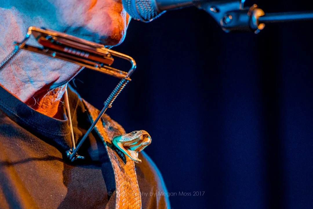 Tony Joe White AKL APR17-0234.jpg