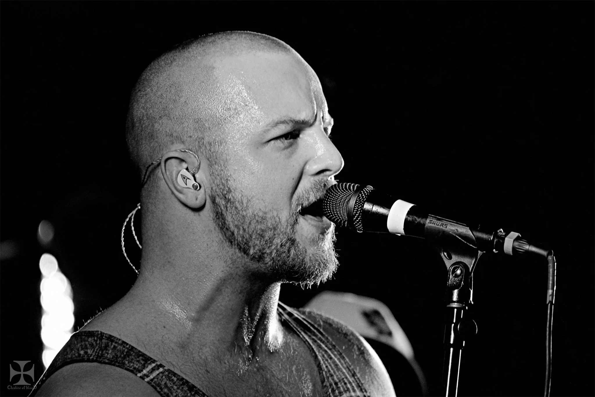 Protest-The-Hero---330-Exposure-watermarked.jpg