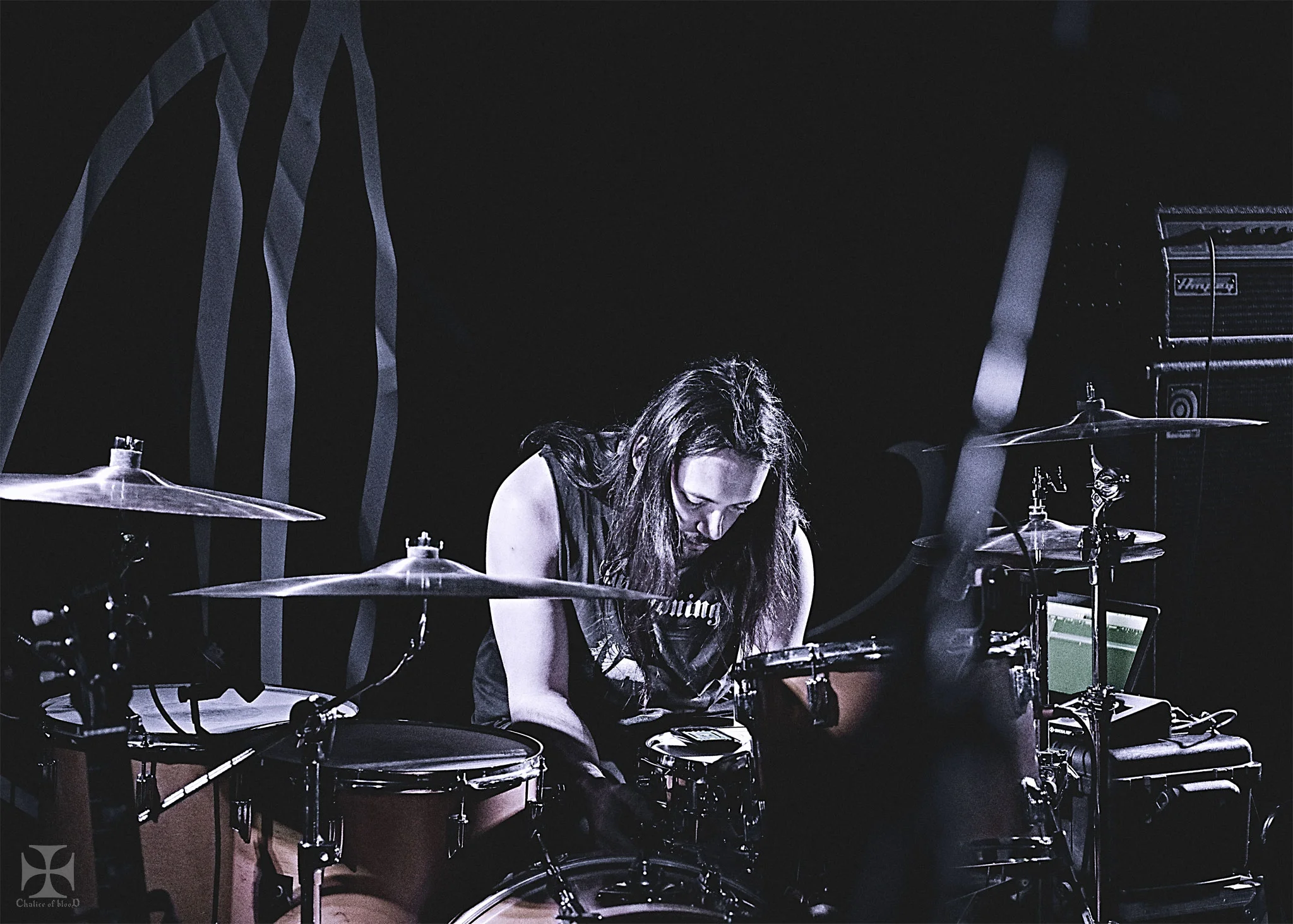 2017.04-Alcest---2-Exposure-watermarked.jpg