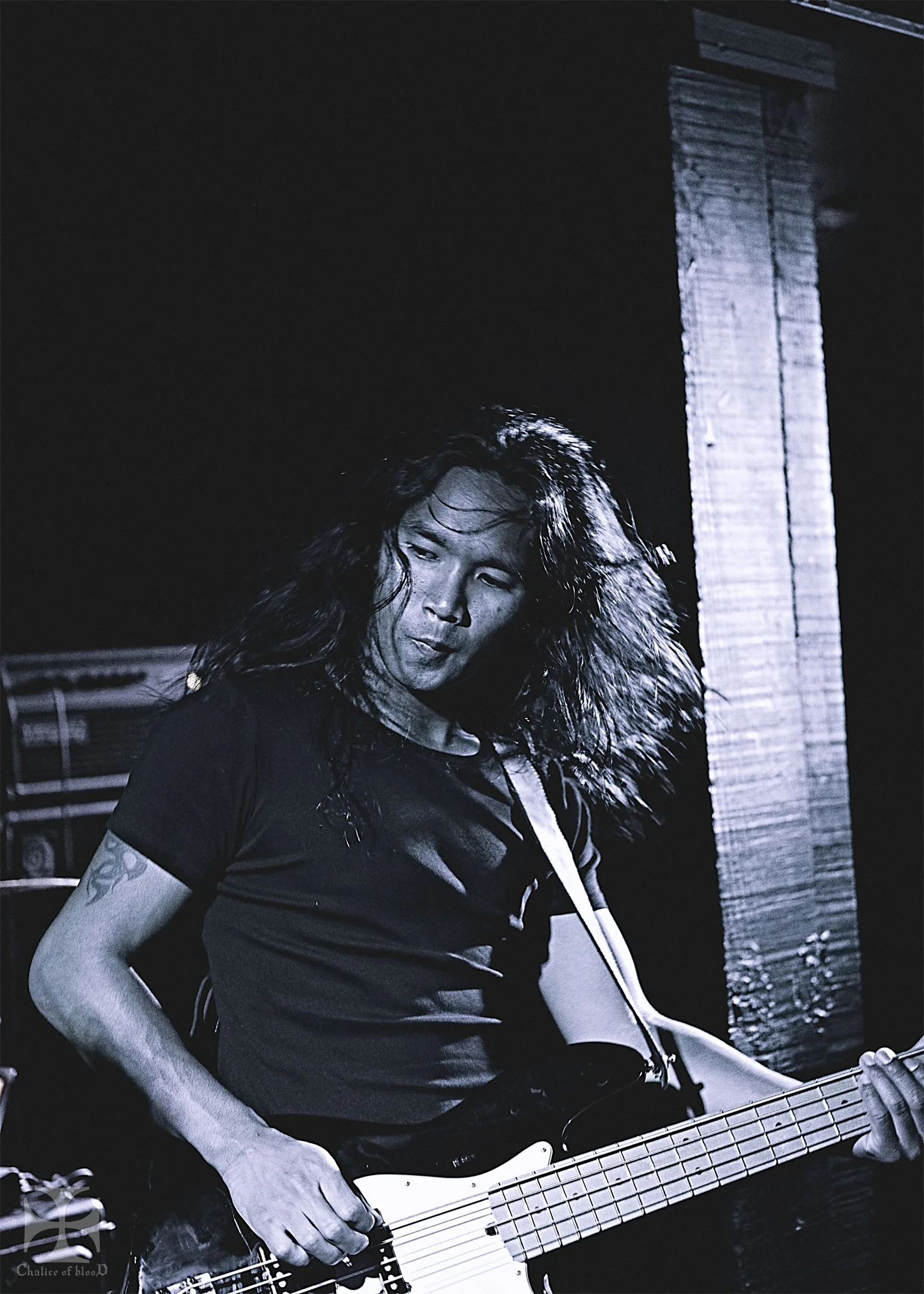 2017.04-Alcest---81-Exposure-watermarked.jpg
