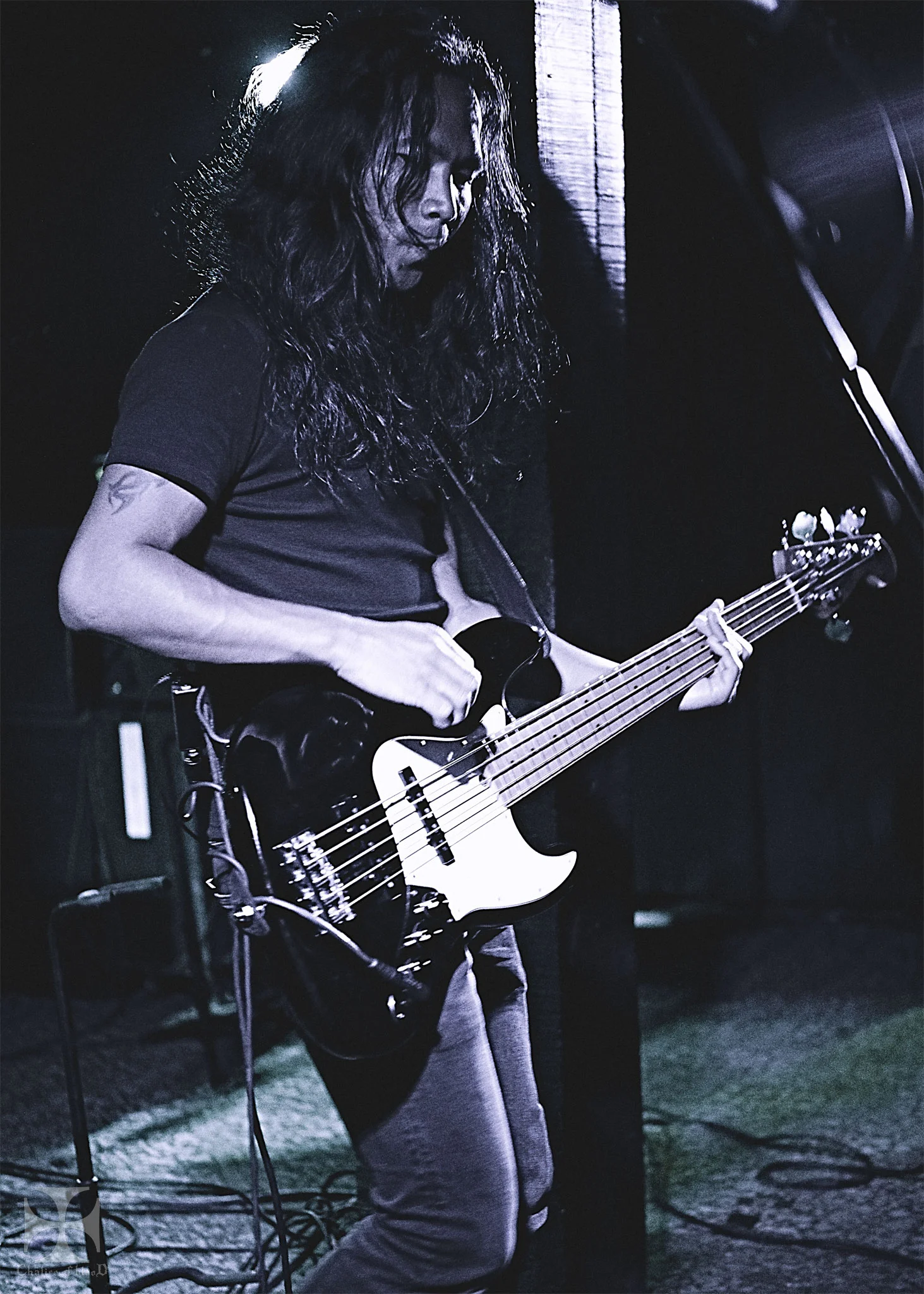2017.04-Alcest---95-Exposure-watermarked.jpg