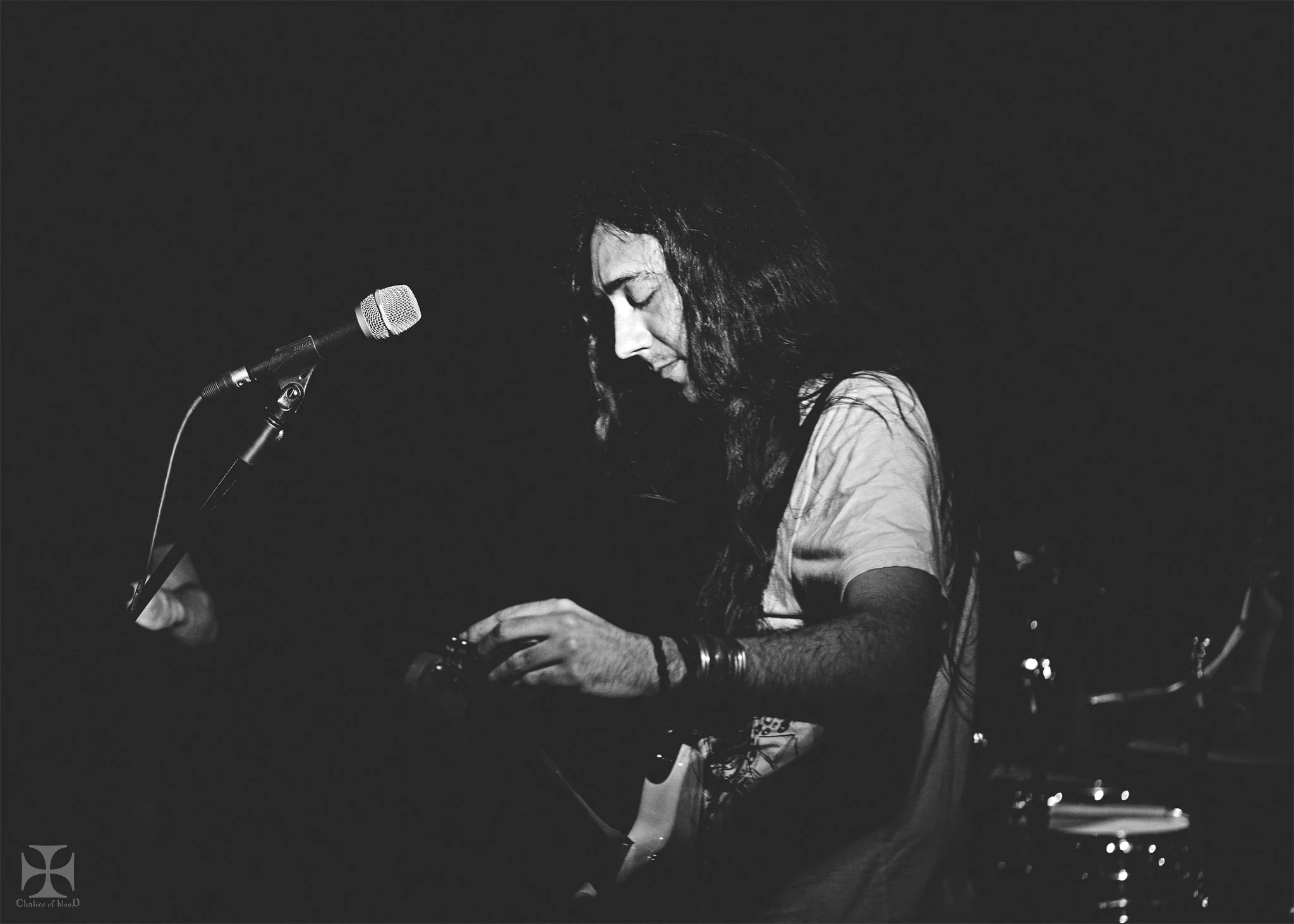 2017.04-Alcest---126-Exposure-watermarked.jpg