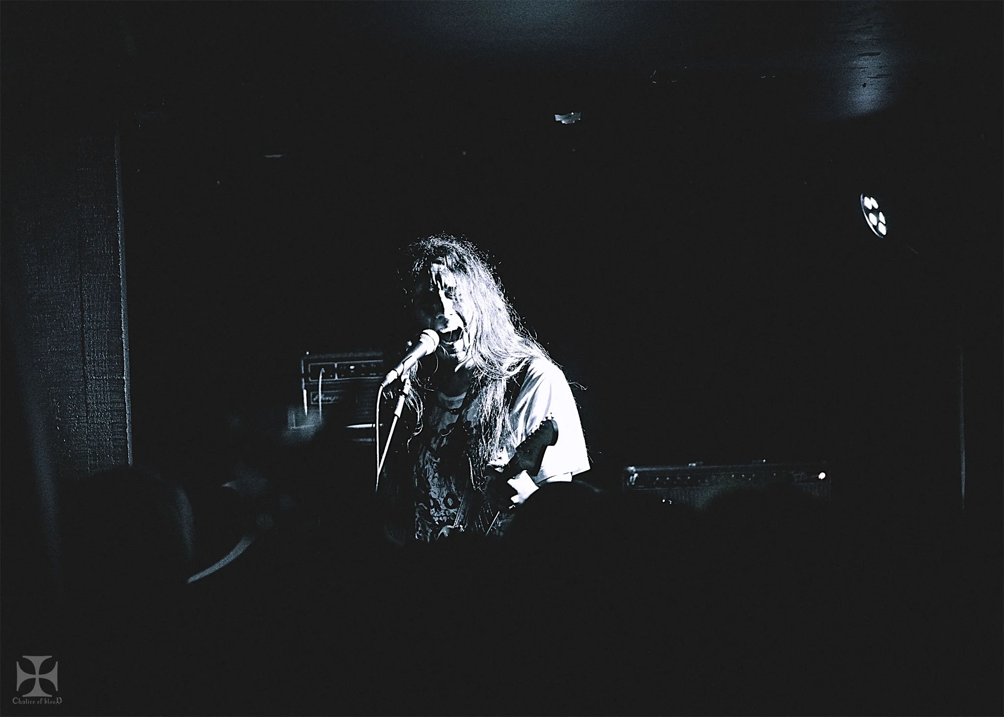 2017.04-Alcest---141-Exposure-watermarked.jpg