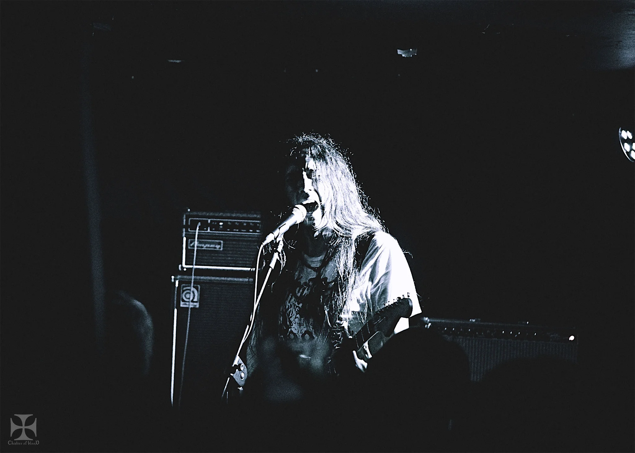 2017.04-Alcest---139-Exposure-watermarked.jpg