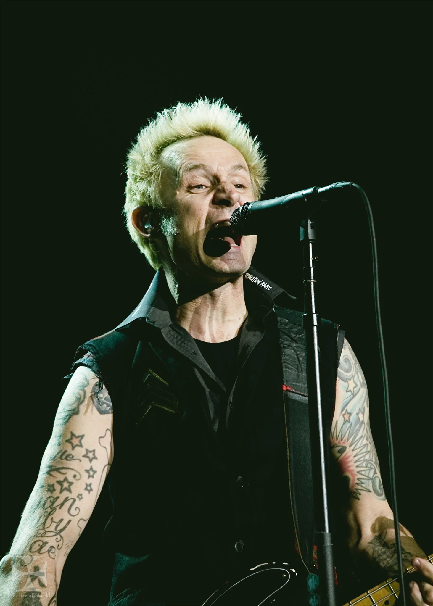 2017.05-Greenday---101-Exposure-watermarked.jpg