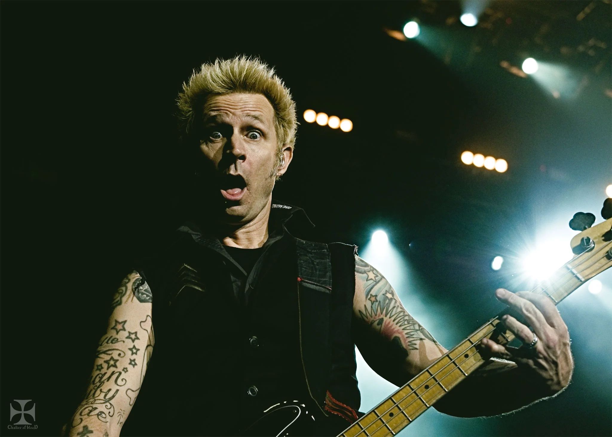 2017.05-Greenday---131-Exposure-watermarked.jpg
