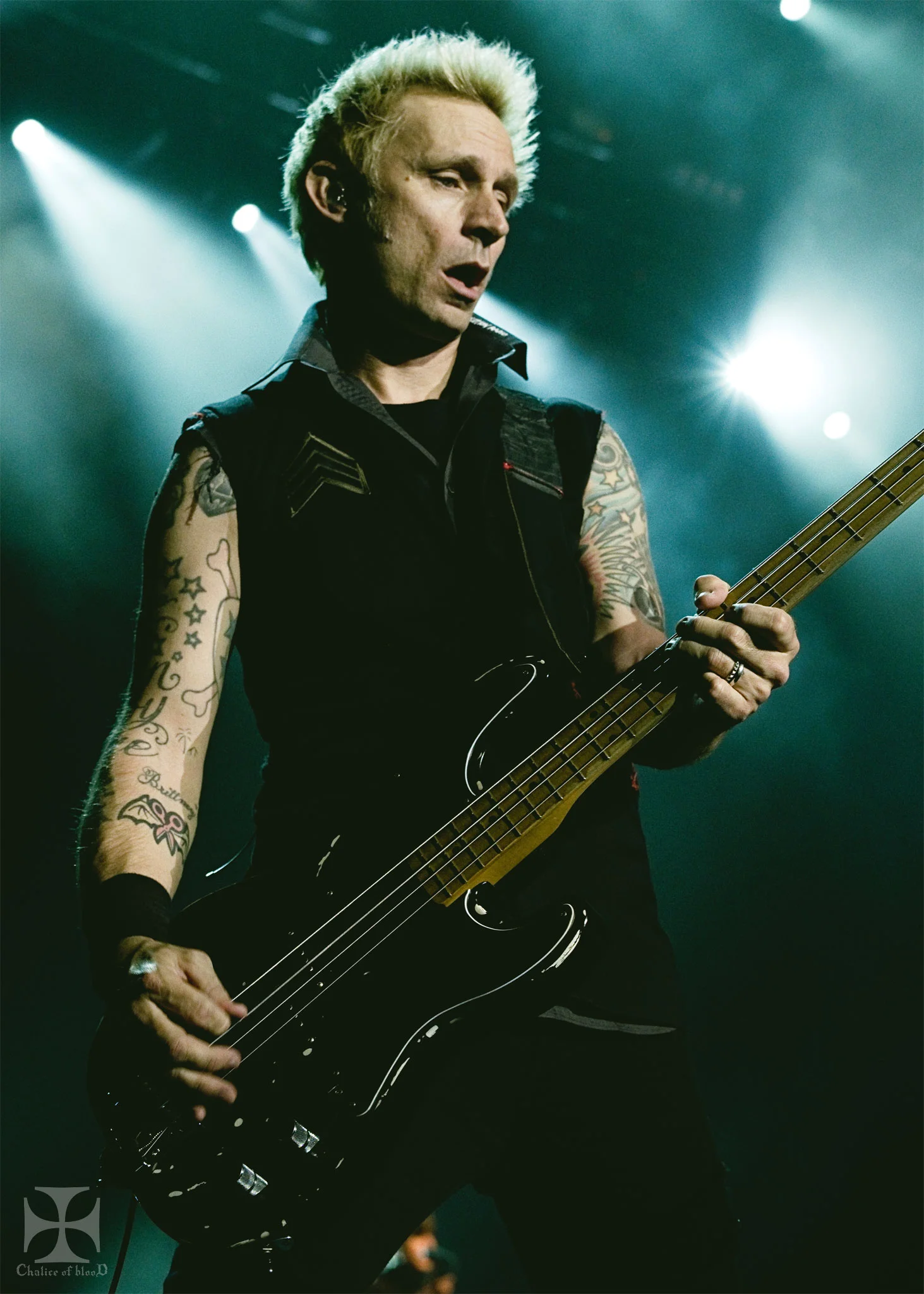 2017.05-Greenday---136-Exposure-watermarked.jpg
