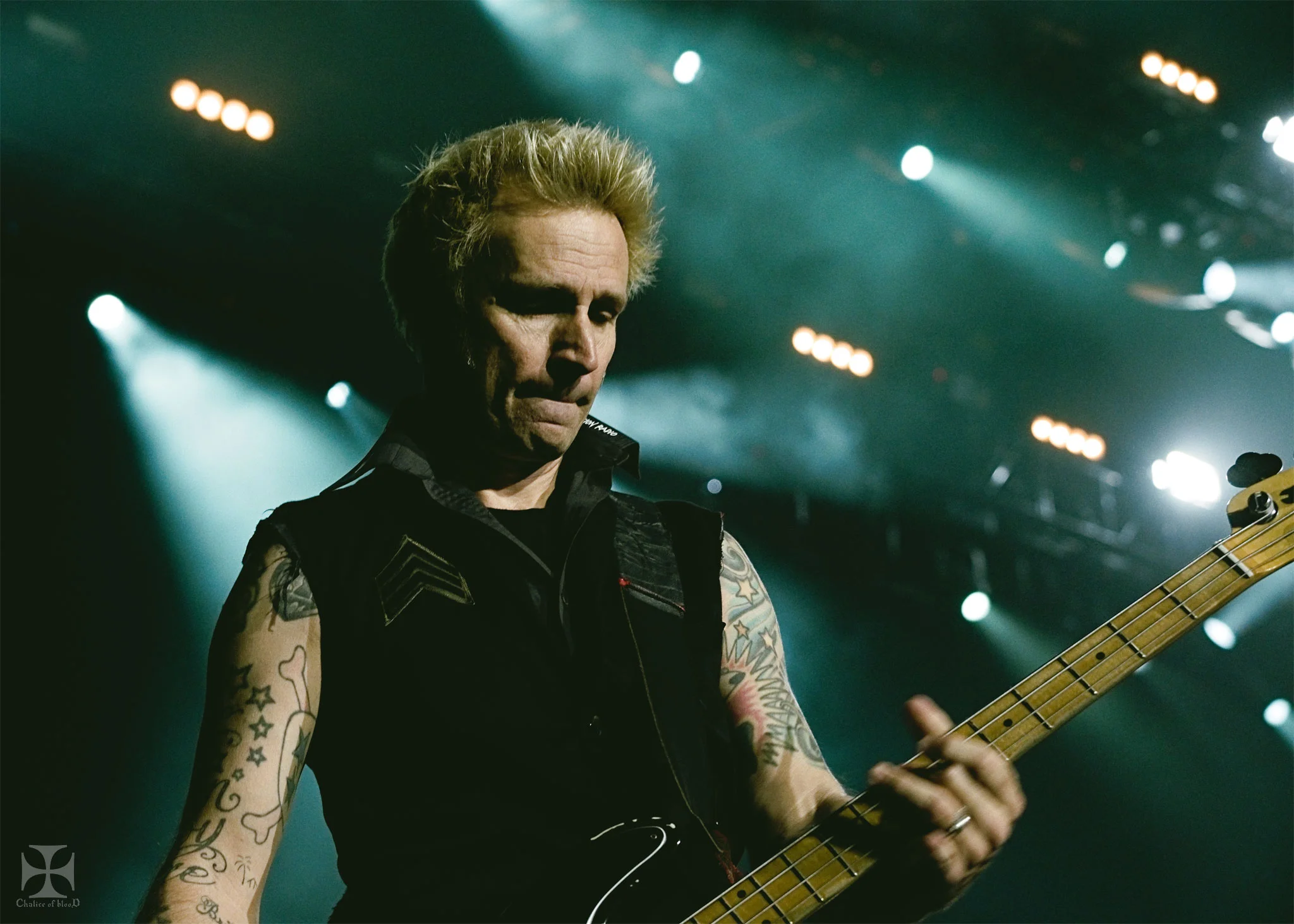 2017.05-Greenday---134-Exposure-watermarked.jpg
