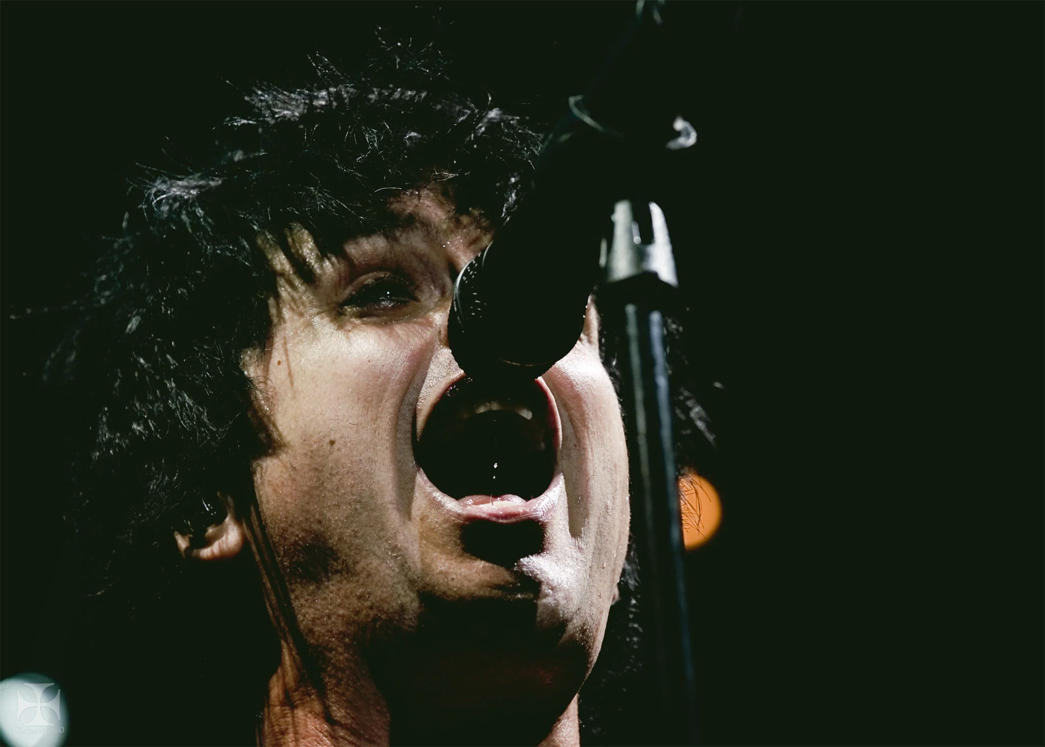 2017.05-Greenday---202-Exposure-watermarked.jpg
