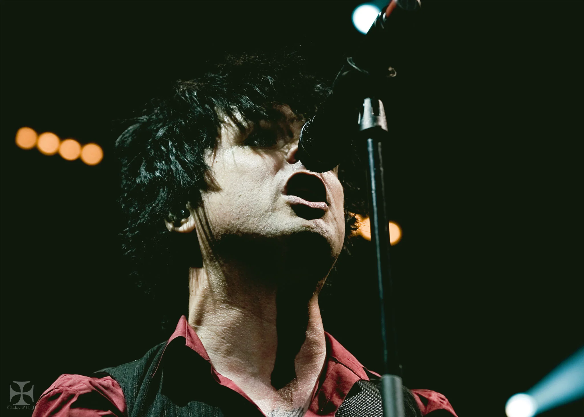 2017.05-Greenday---204-Exposure-watermarked.jpg