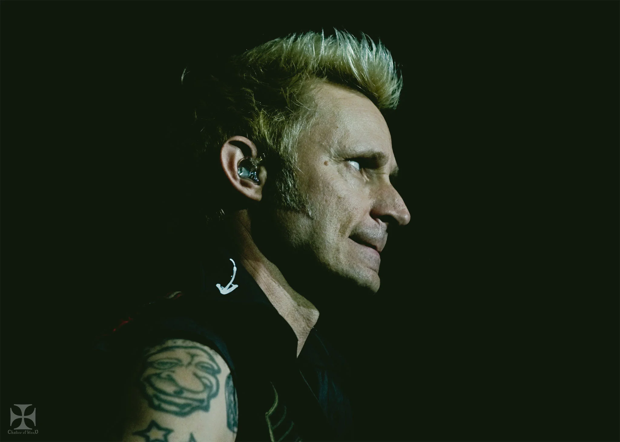 2017.05-Greenday---205-Exposure-watermarked.jpg