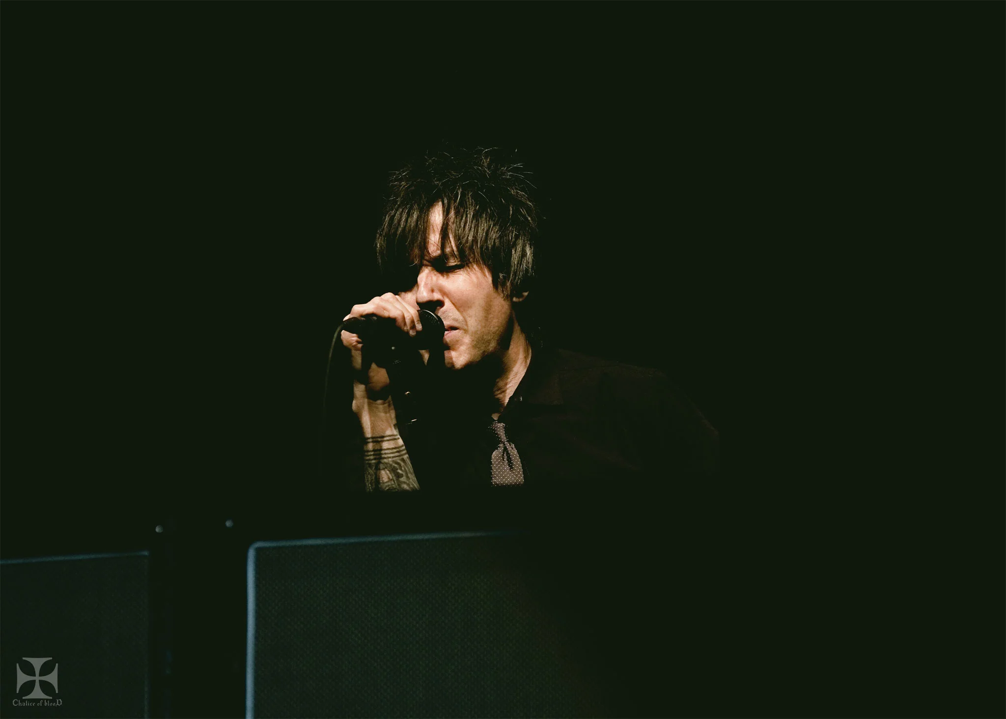 2017.05-Greenday---231-Exposure-watermarked.jpg