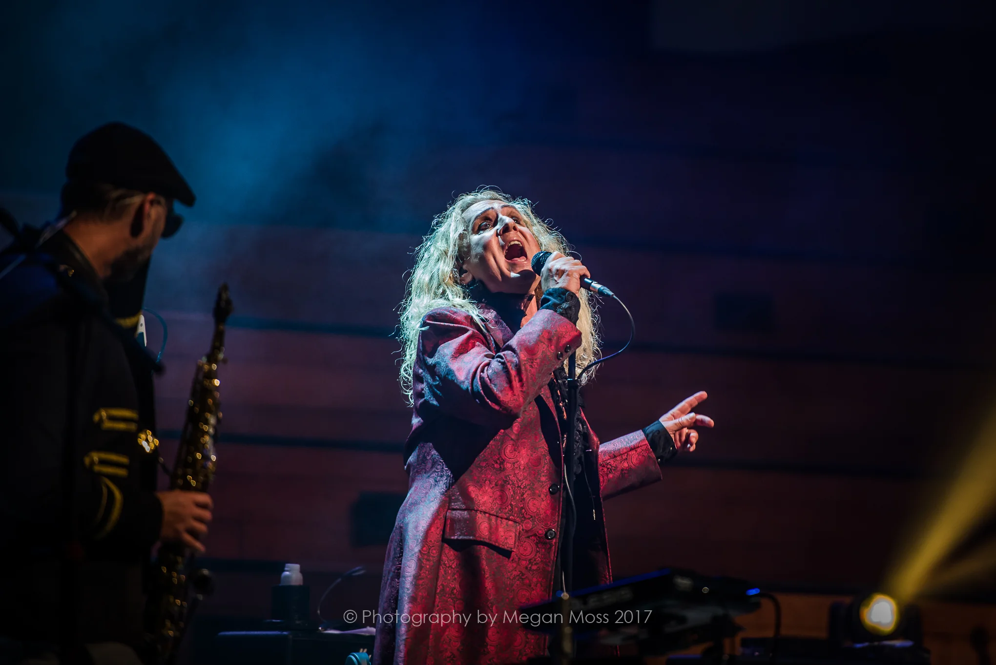 Steve Hackett-1154.jpg