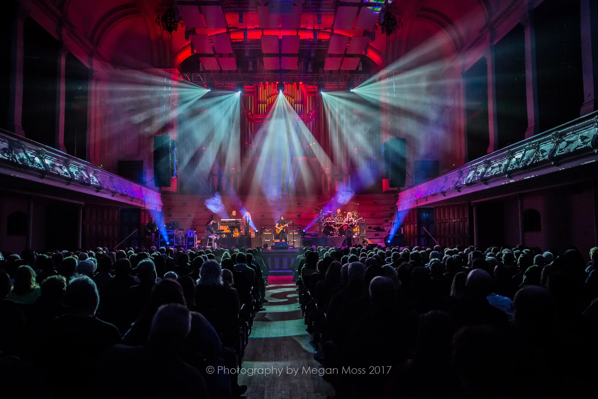 Steve Hackett-1189.jpg