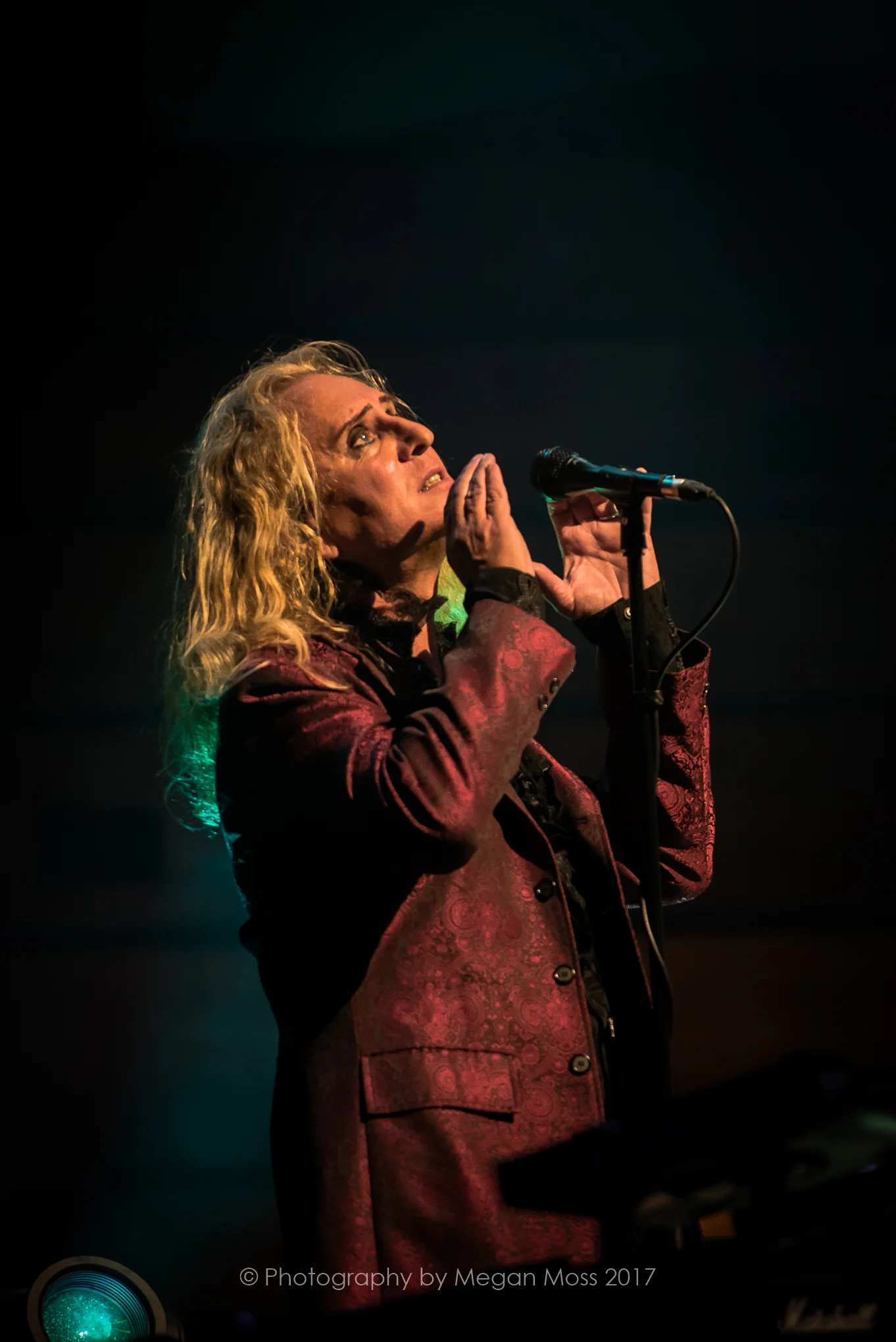 Steve Hackett-4751.jpg