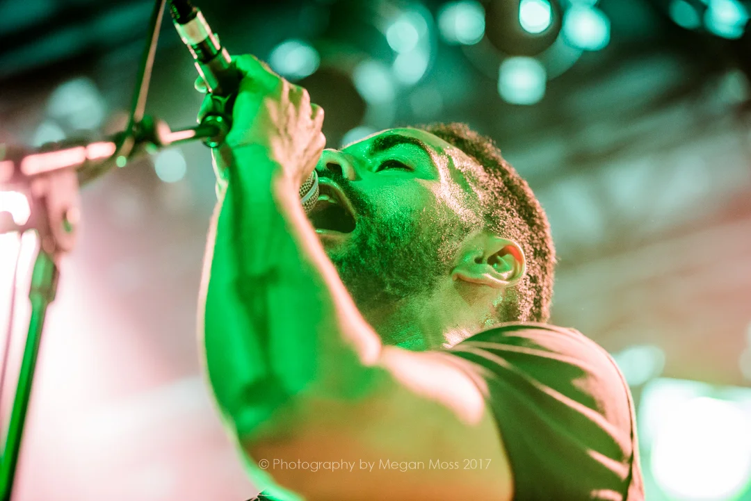 The Black Seeds-3.jpg
