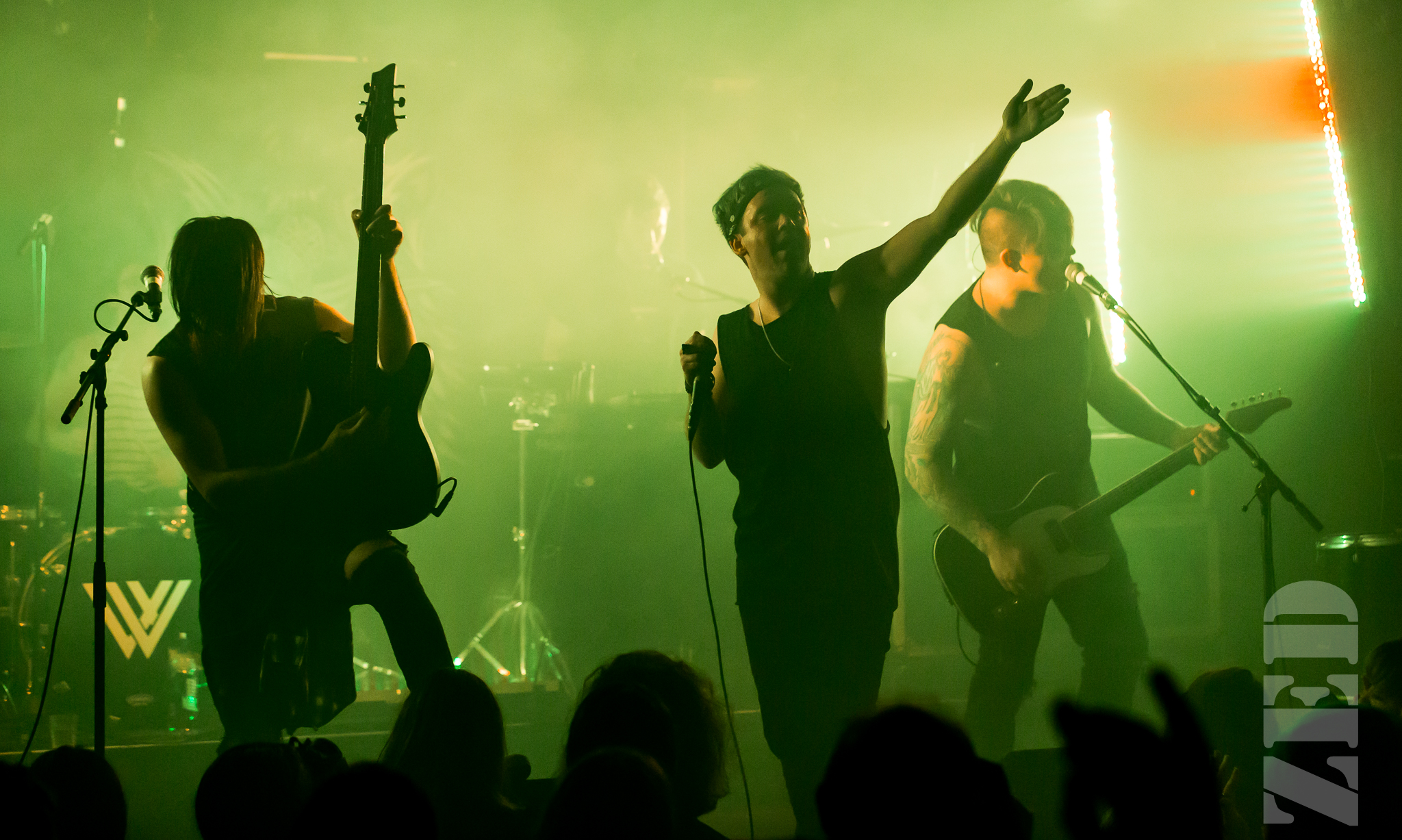 Written by Wolves @ Kings Arms 3 Nov 17 L-21.jpg