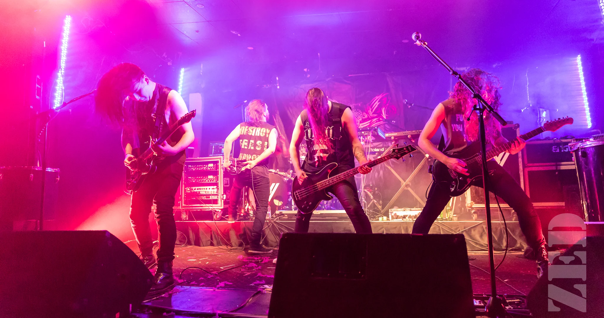 FallState @ Kings Arms 3 Nov 17 L-5.jpg