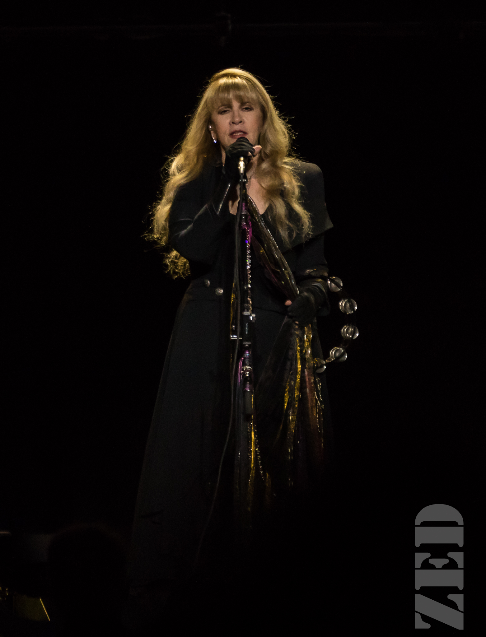 Stevie Nicks @ Spark Arena 21 Nov 17-1.jpg