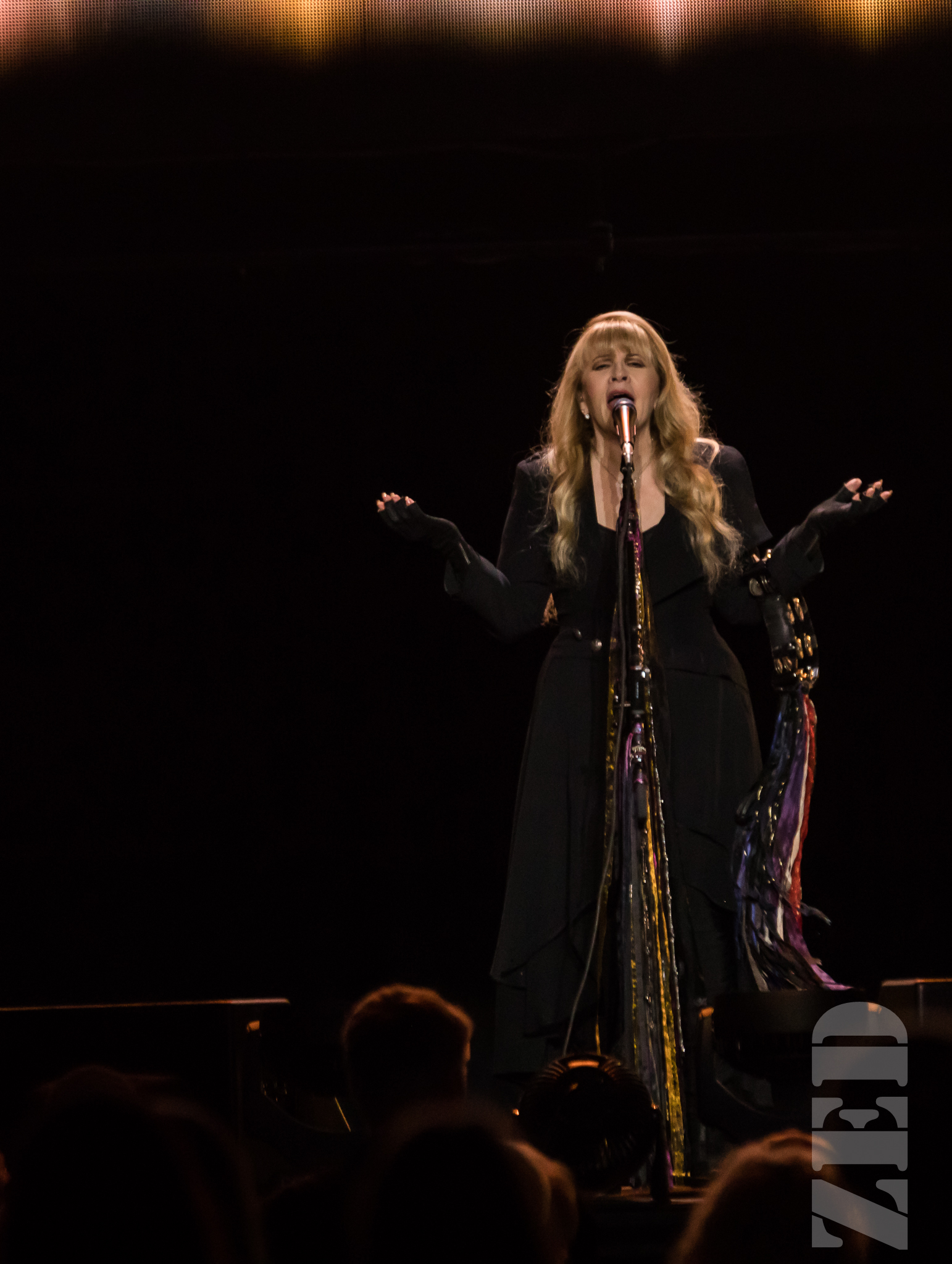 Stevie Nicks @ Spark Arena 21 Nov 17-4.jpg