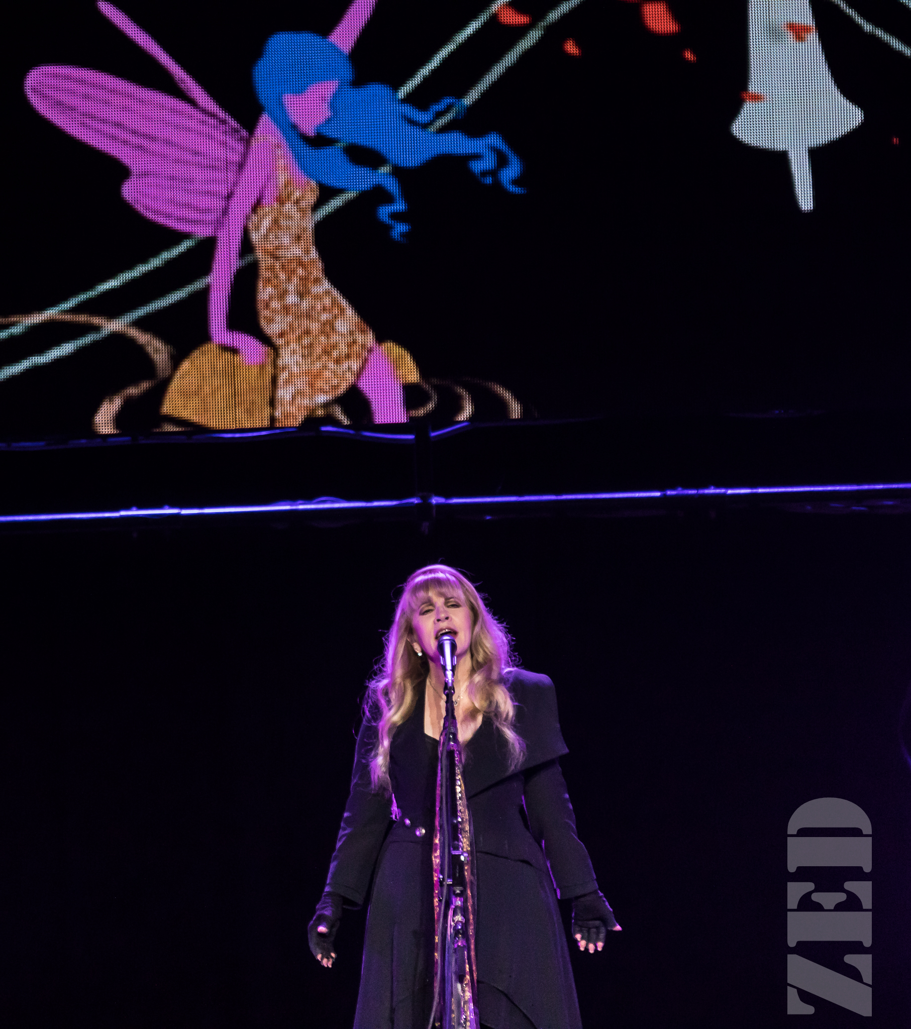Stevie Nicks @ Spark Arena 21 Nov 17-10.jpg