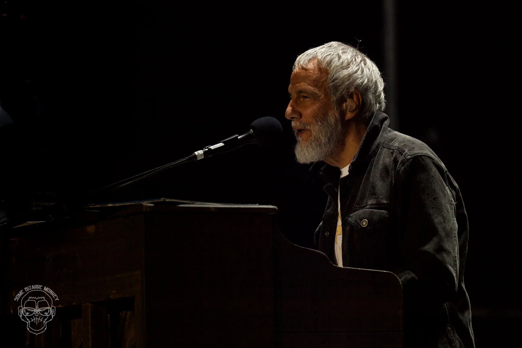 Cat_Stevens-5535.jpg