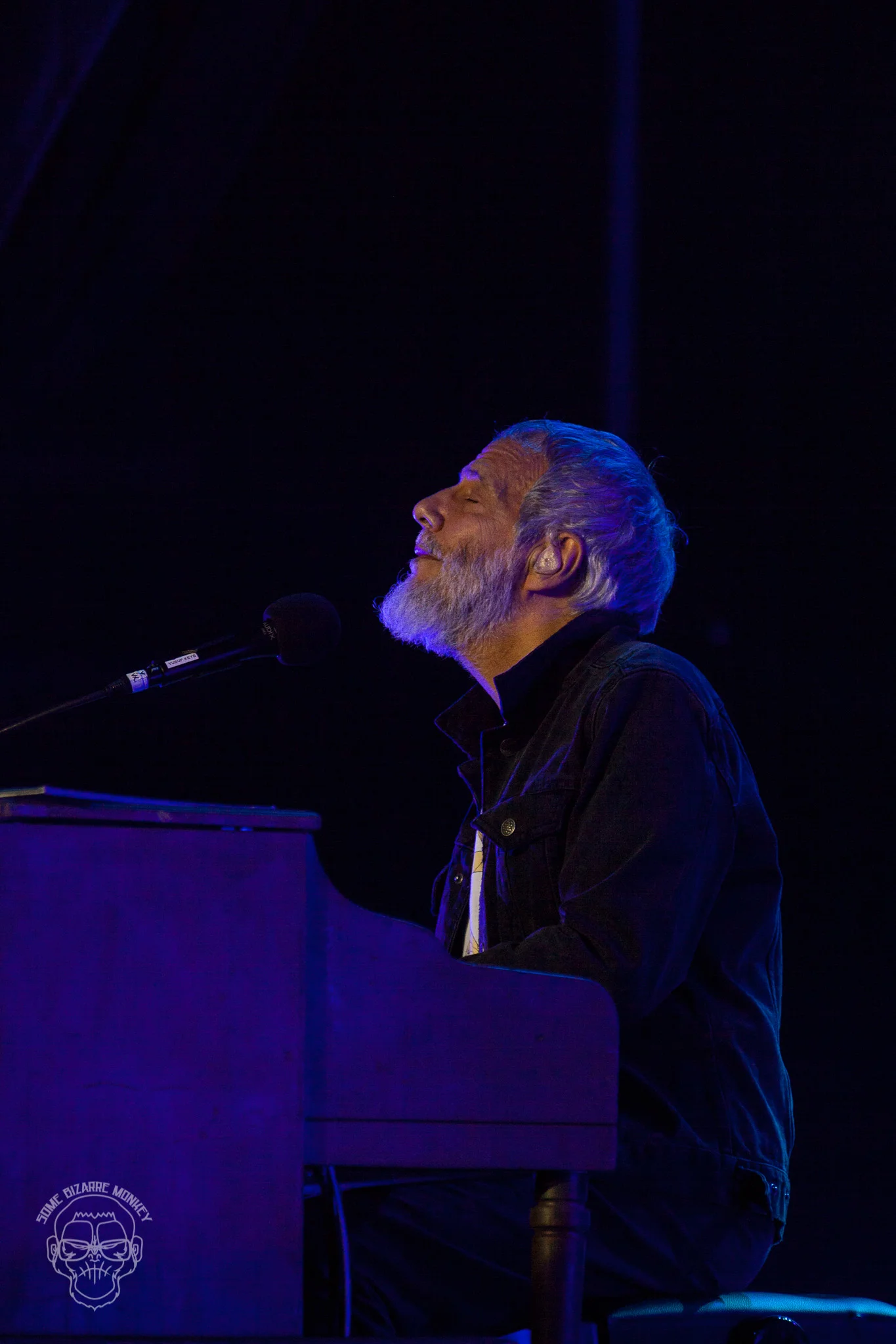 Cat_Stevens-5614.jpg
