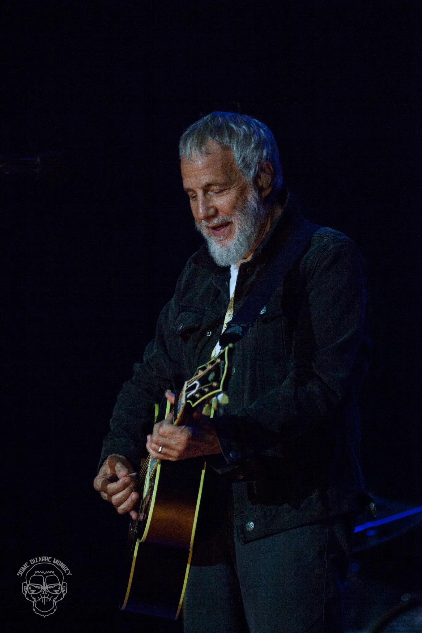 Cat_Stevens-5644.jpg
