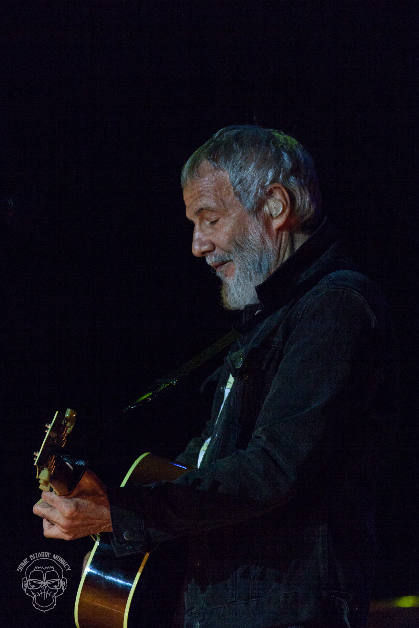 Cat_Stevens-5649.jpg