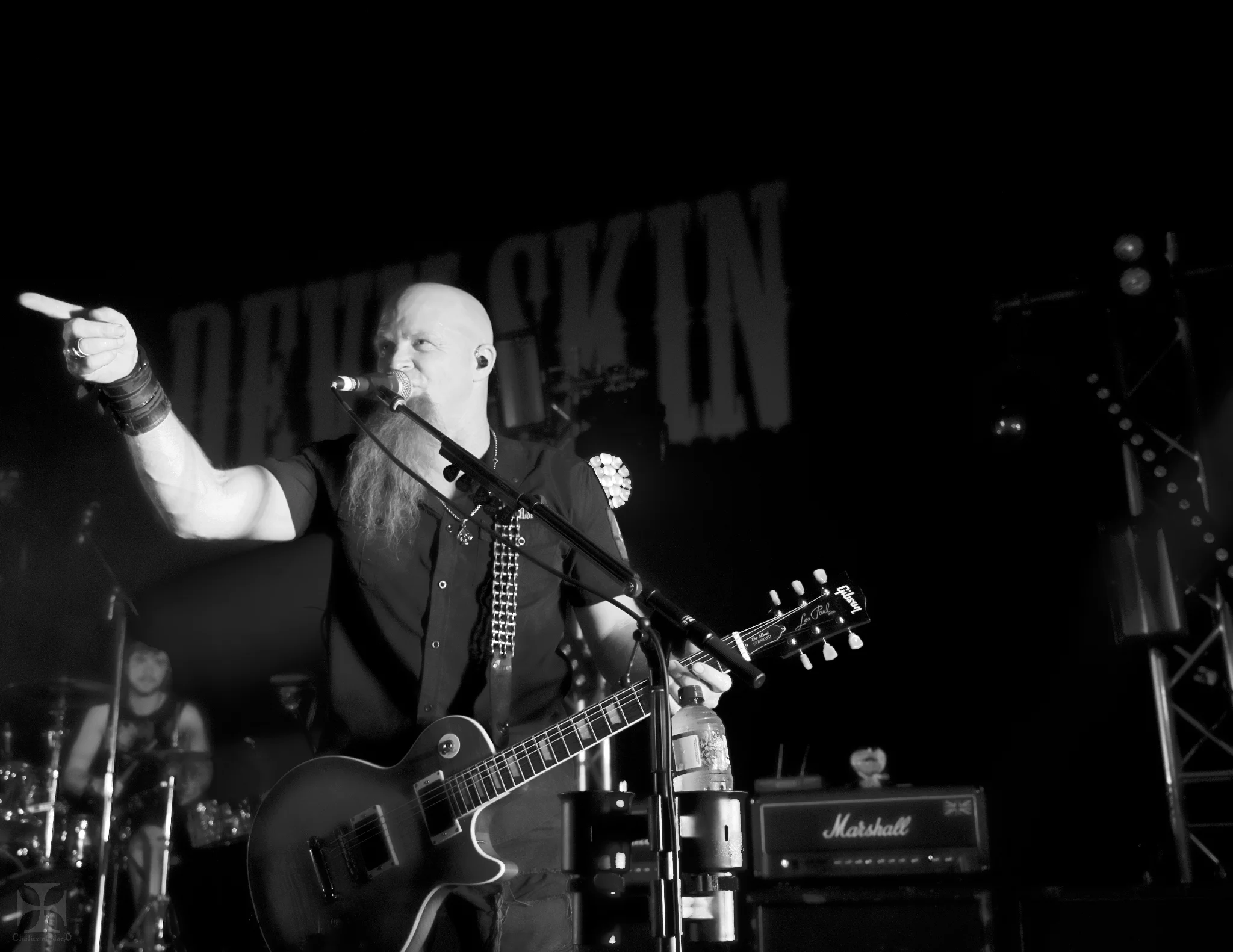 2018.01 Devilskin - 0201-Exposure.jpg