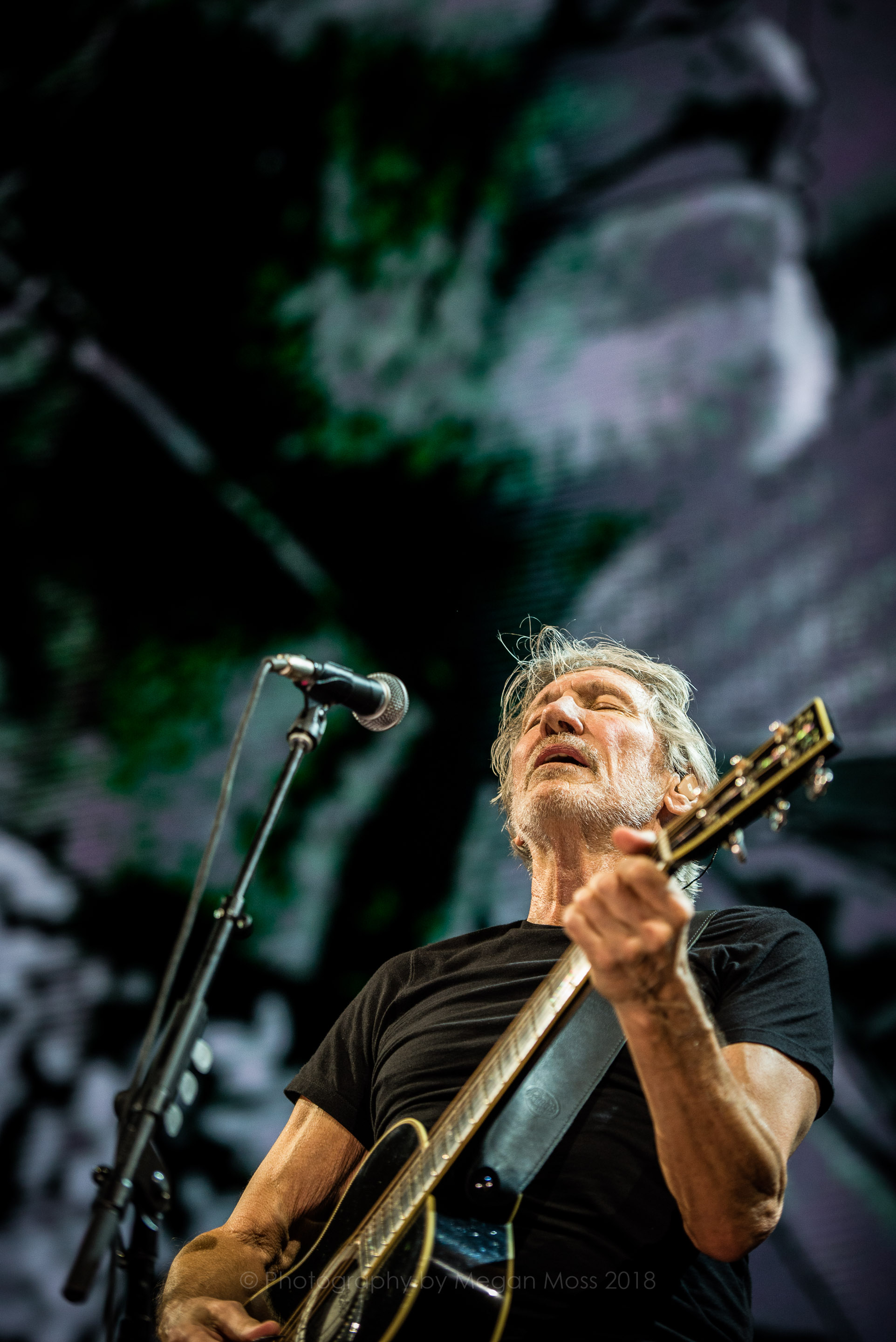Roger Waters AKL 2018-9.jpg