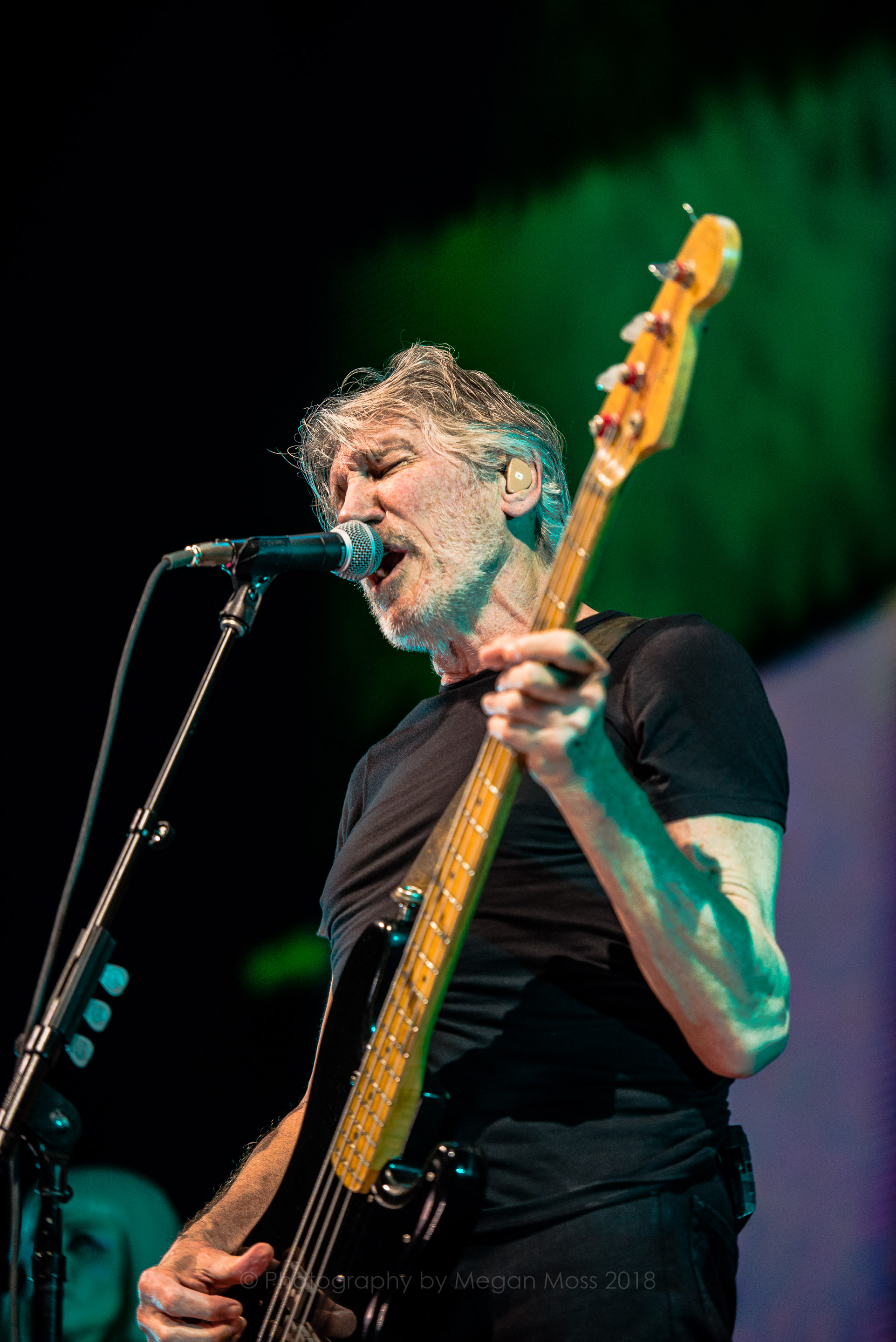 Roger Waters AKL 2018-11.jpg