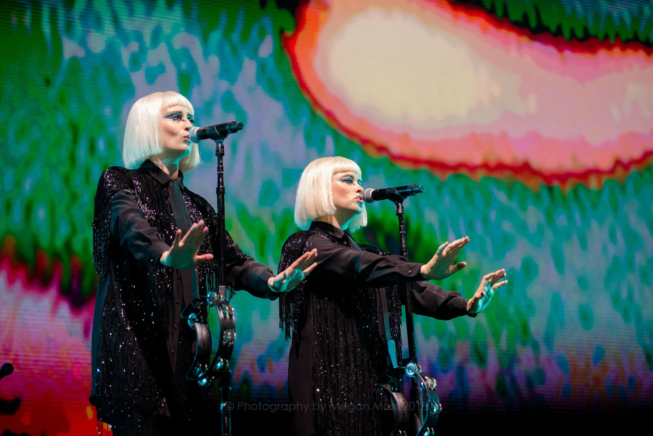 Roger Waters AKL 2018-14.jpg