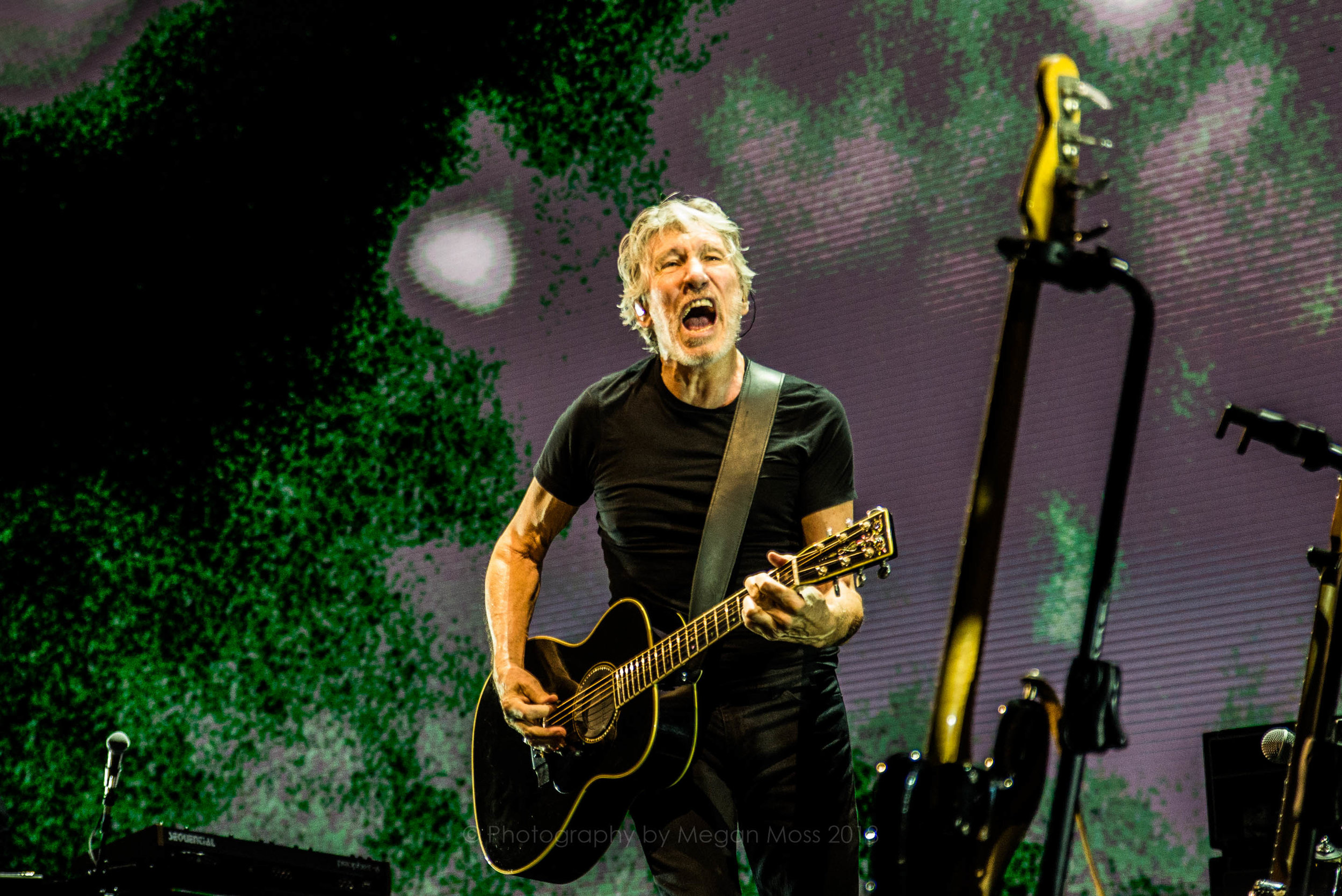 Roger Waters AKL 2018-17.jpg