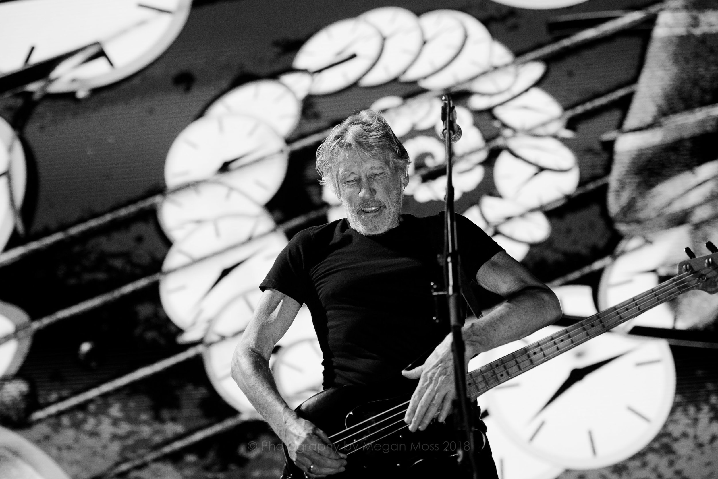 Roger Waters AKL 2018-18.jpg