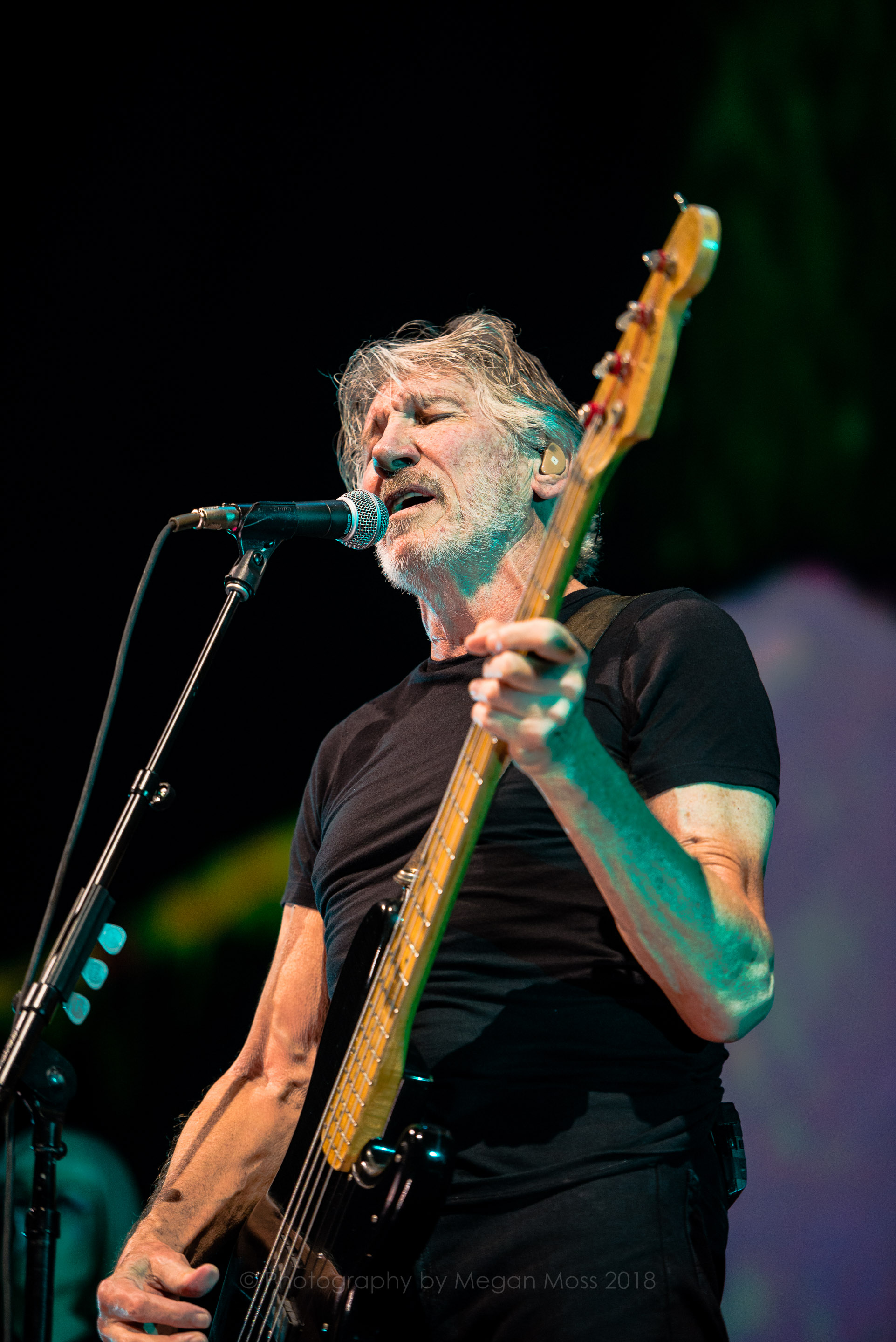 Roger Waters AKL 2018-22.jpg