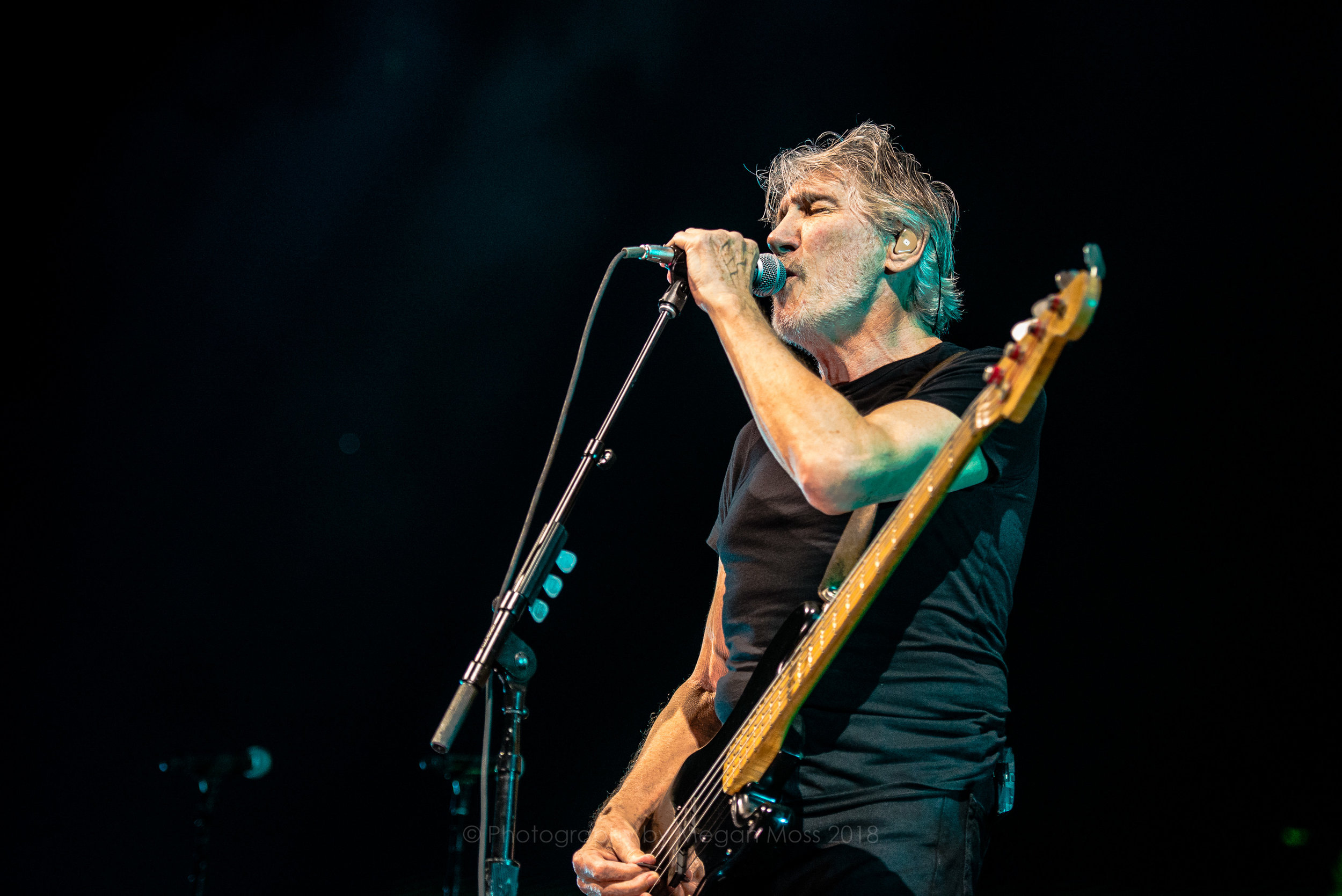 Roger Waters AKL 2018-25.jpg