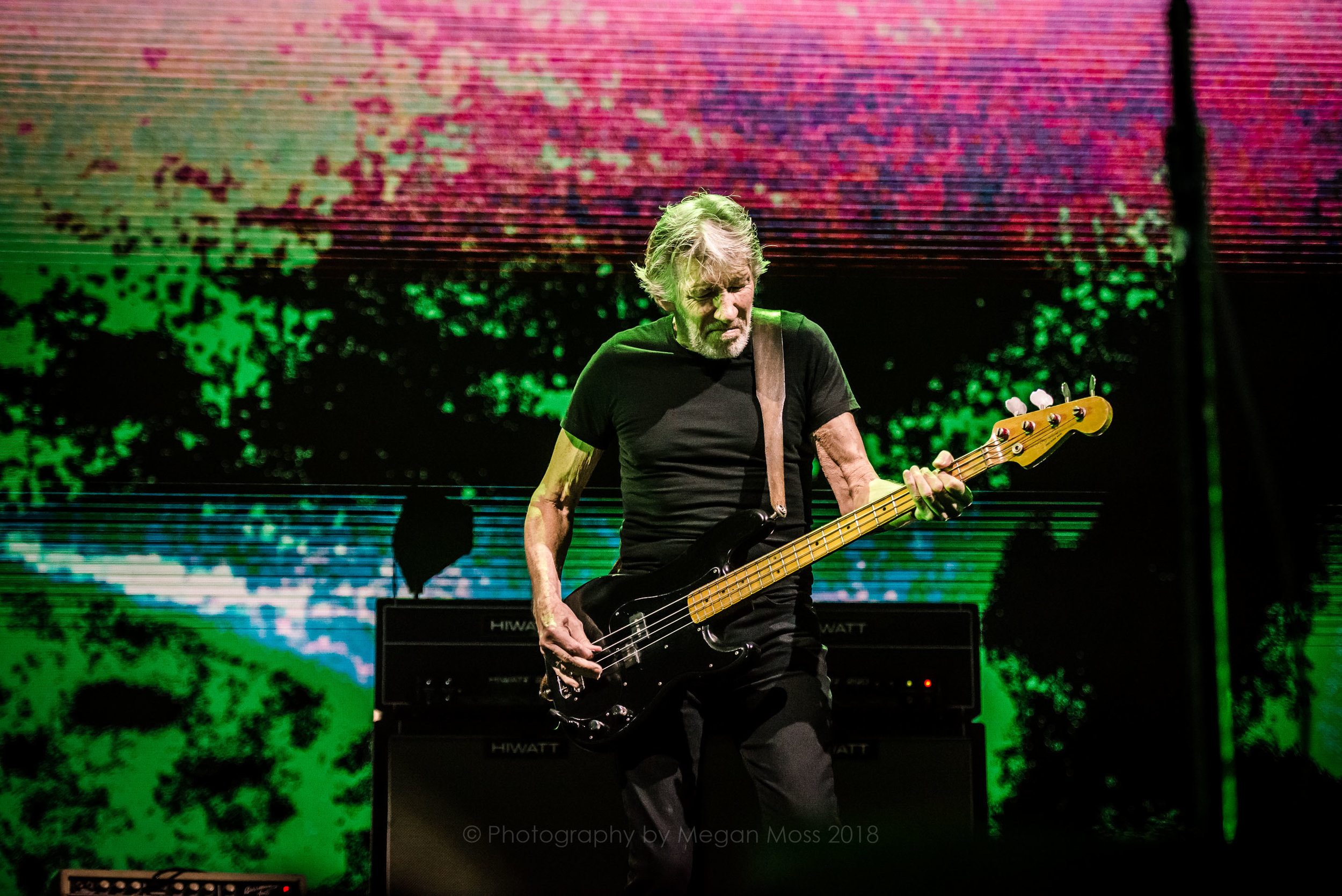 Roger Waters AKL 2018-29.jpg