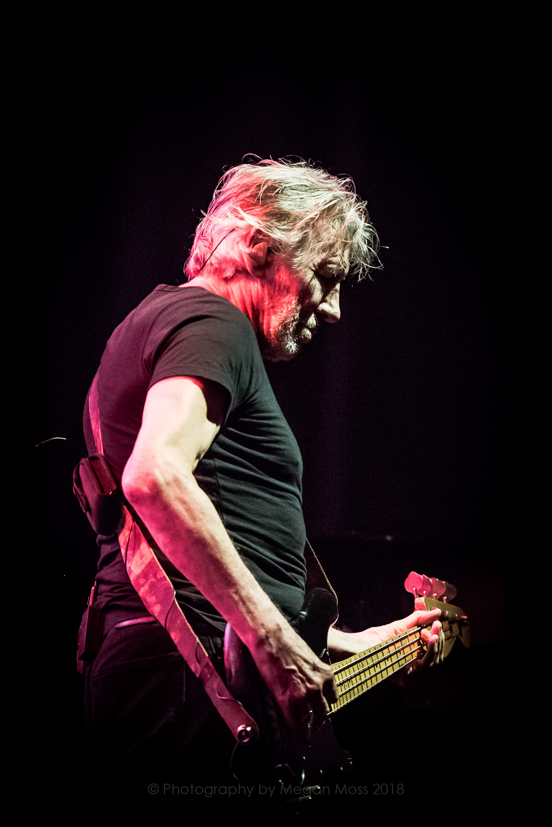 Roger Waters AKL 2018-31.jpg
