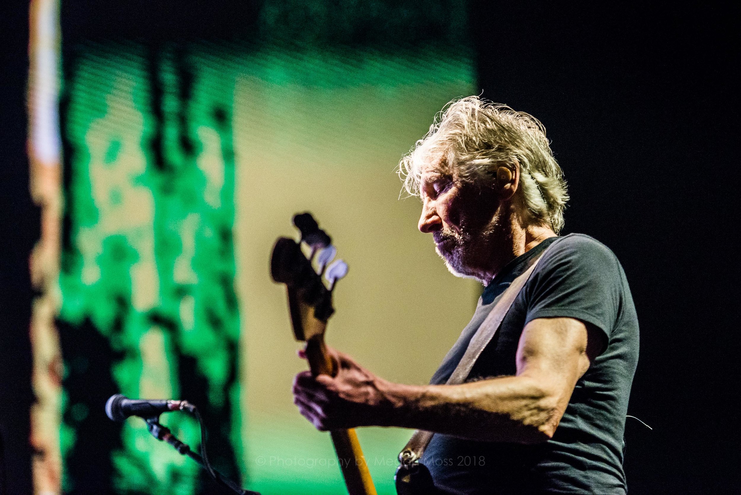 Roger Waters AKL 2018-30.jpg