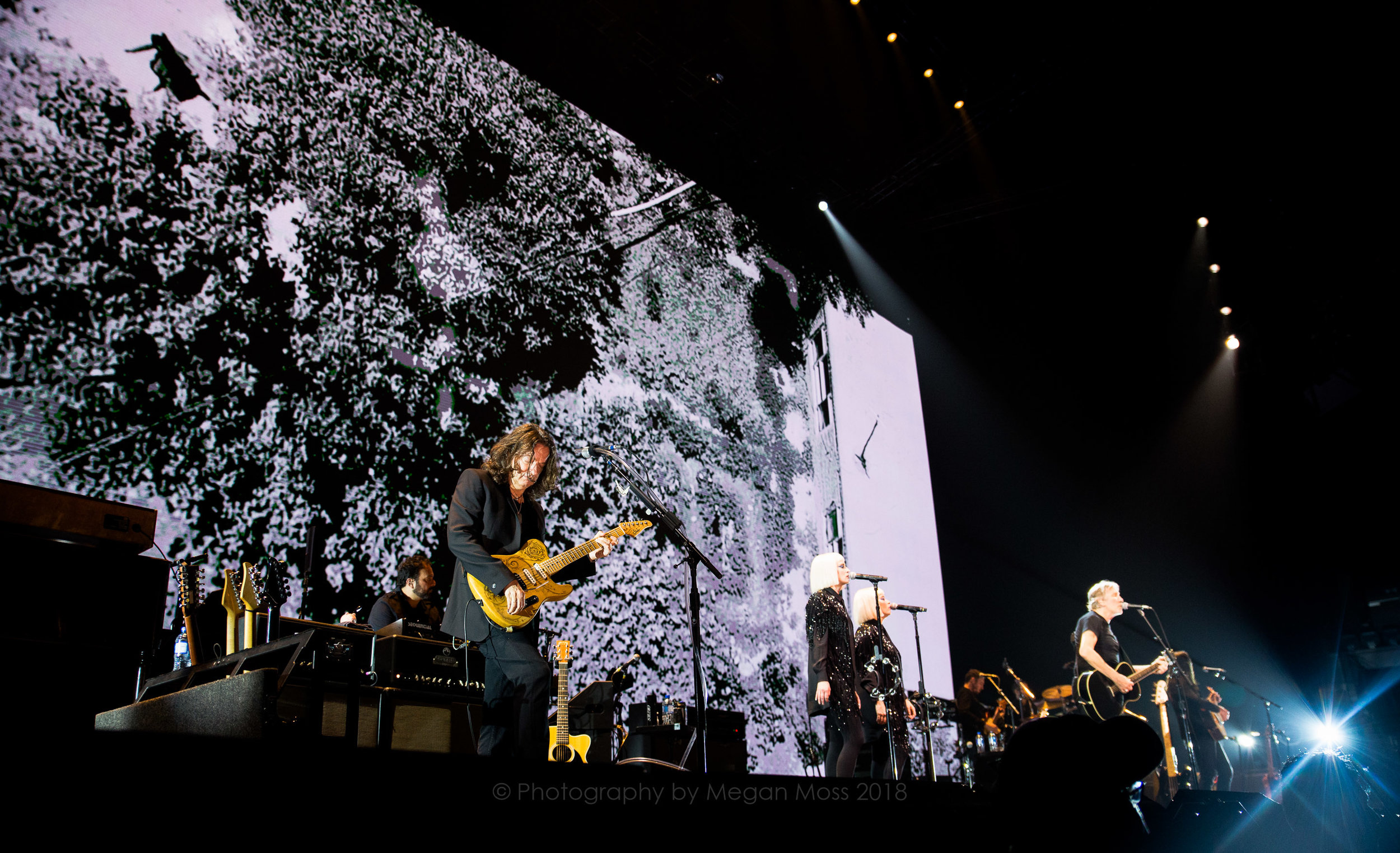 Roger Waters AKL 2018-32.jpg