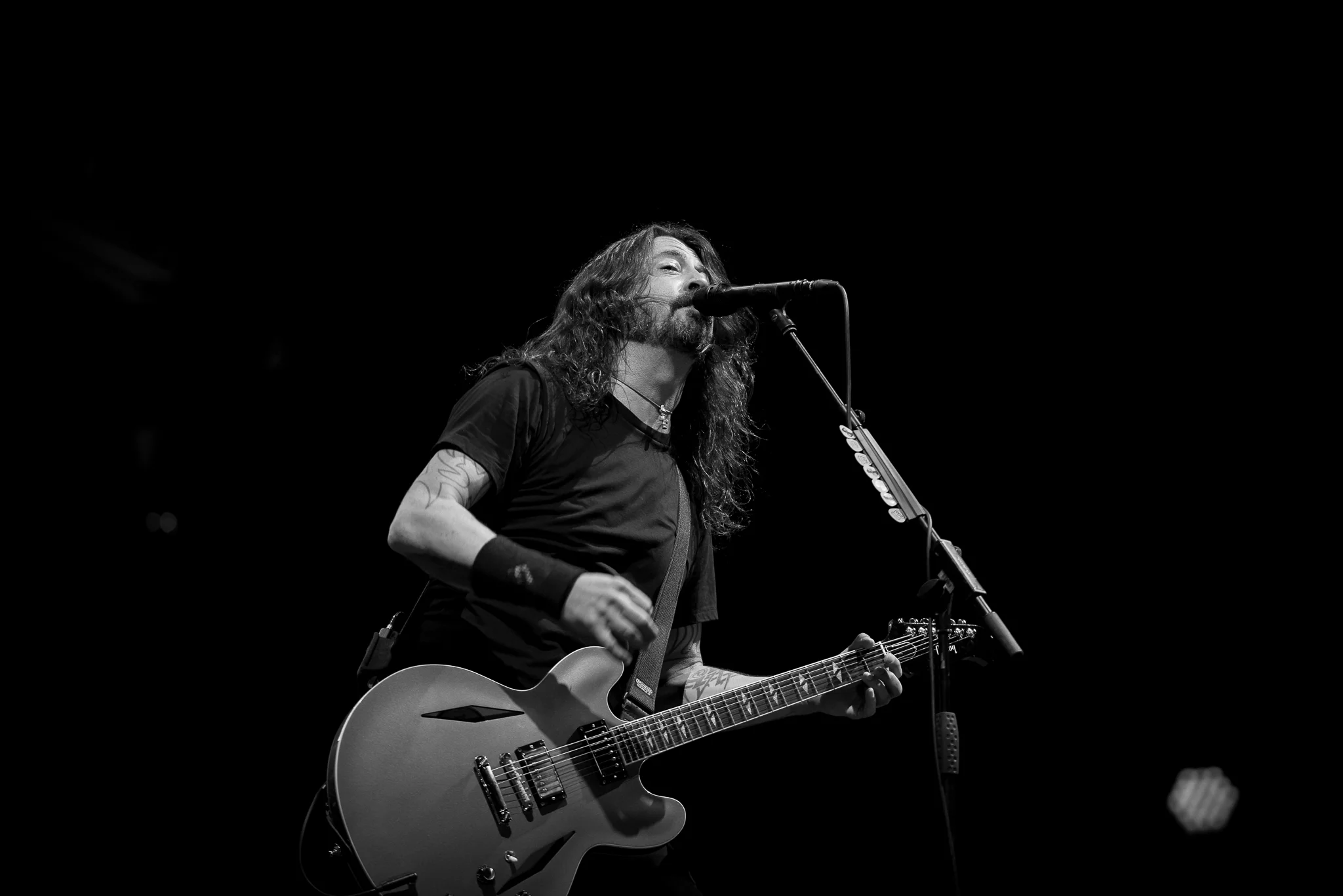 DSC_7FOO.jpg