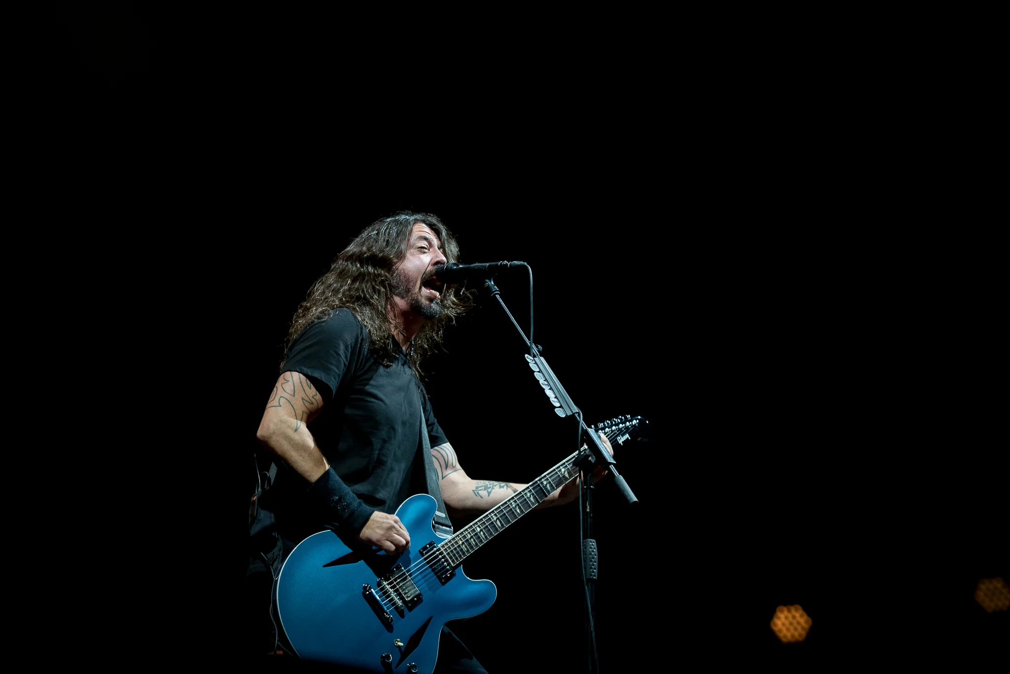 DSC_14FOO.jpg